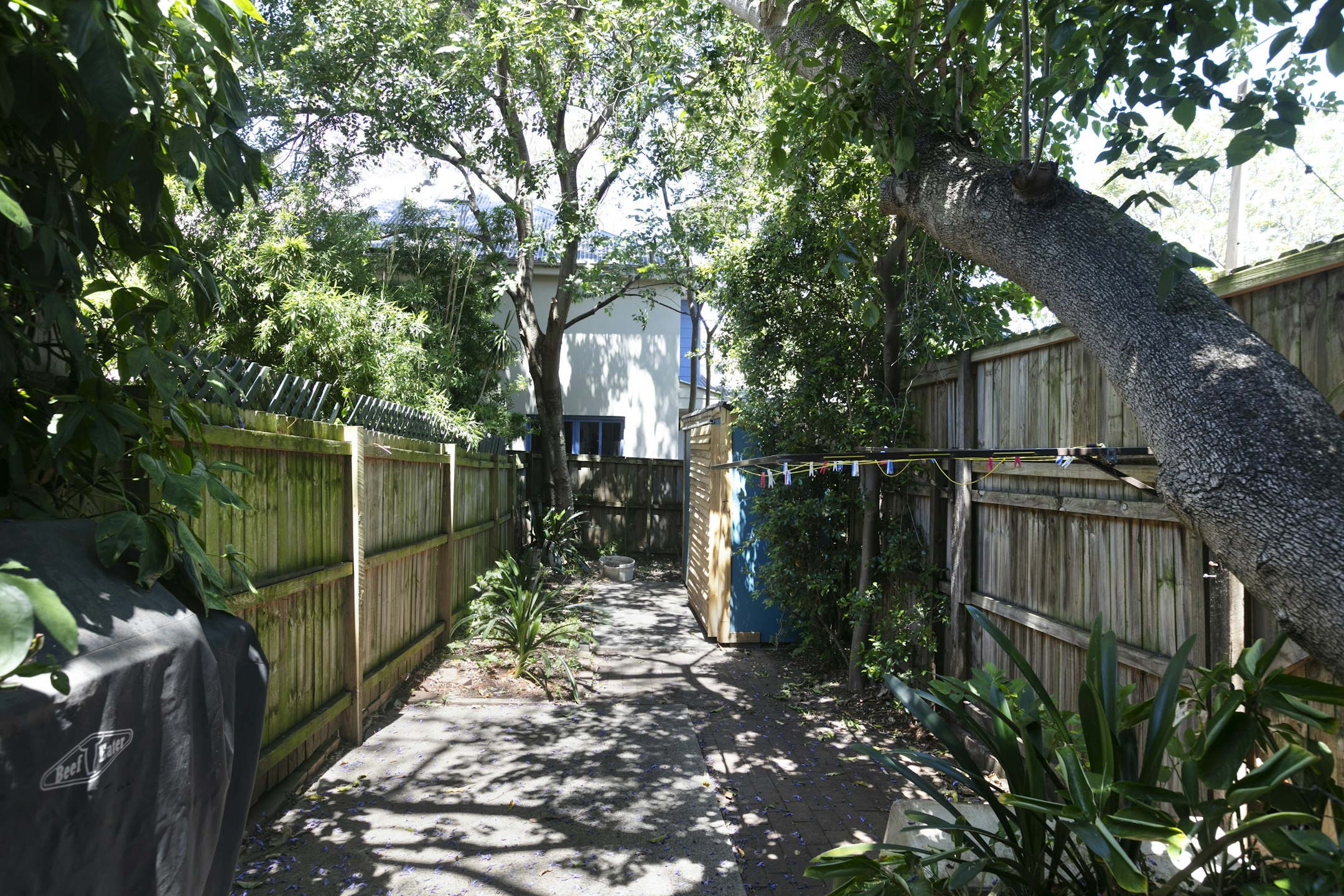 garden