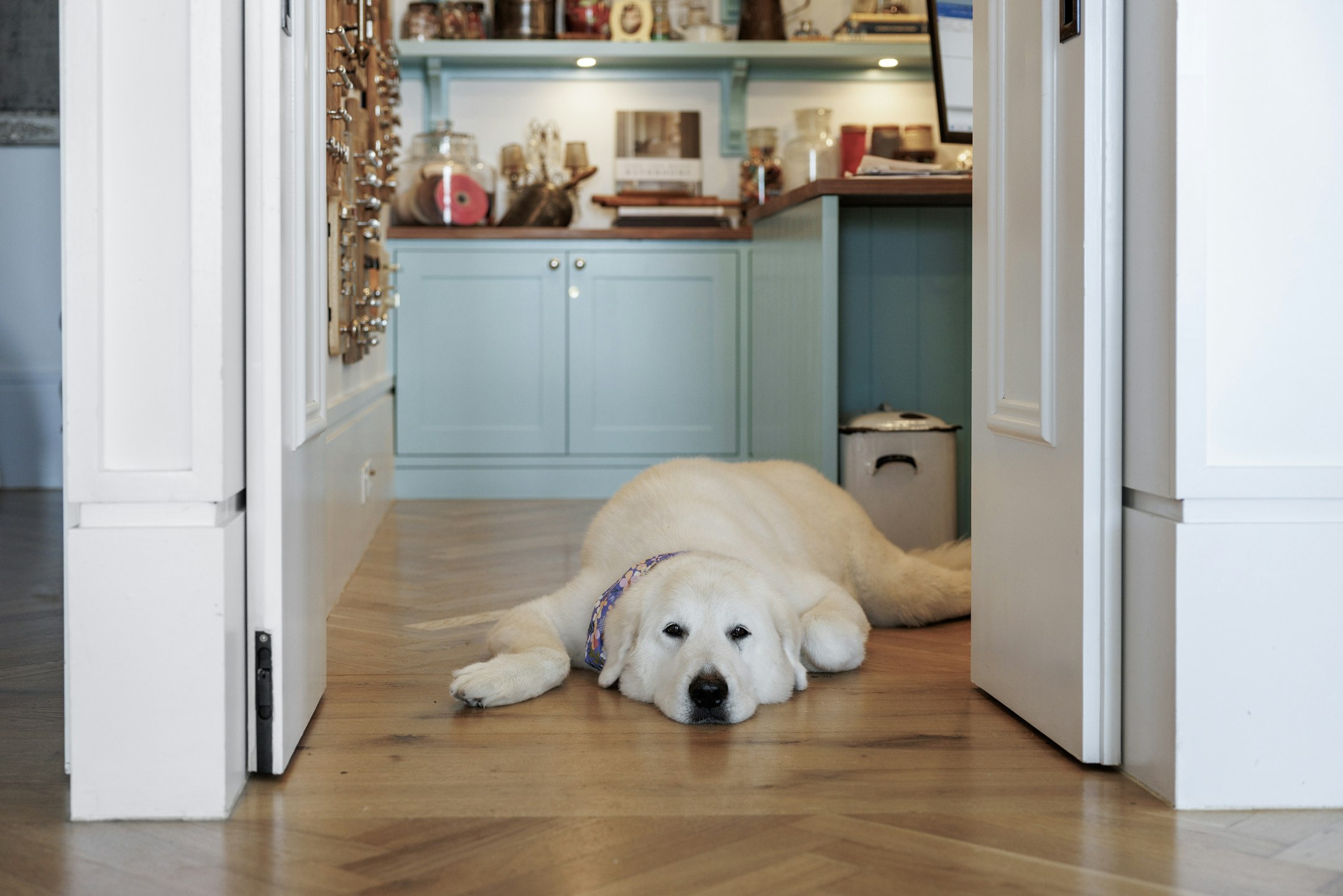 floor