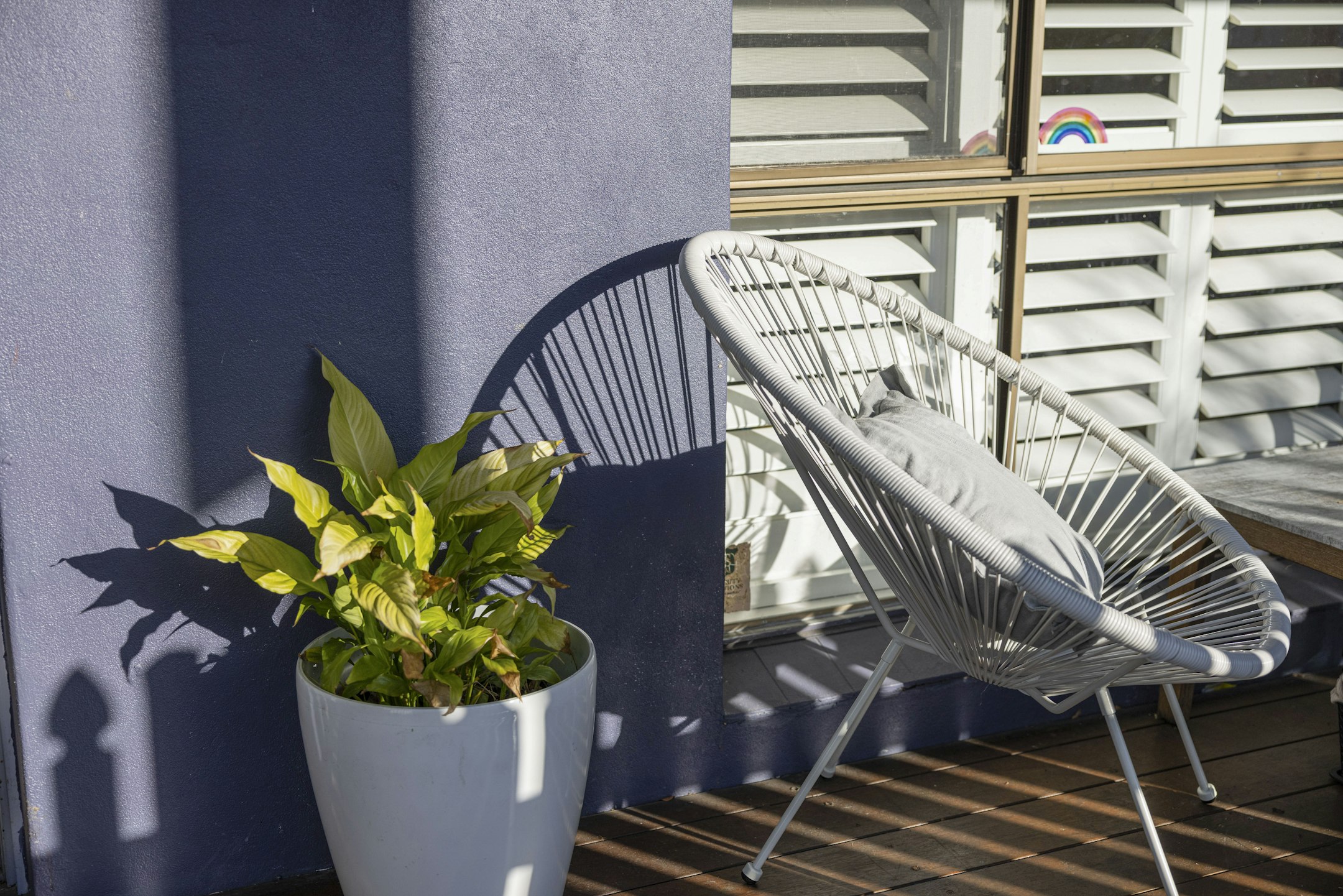 plant
