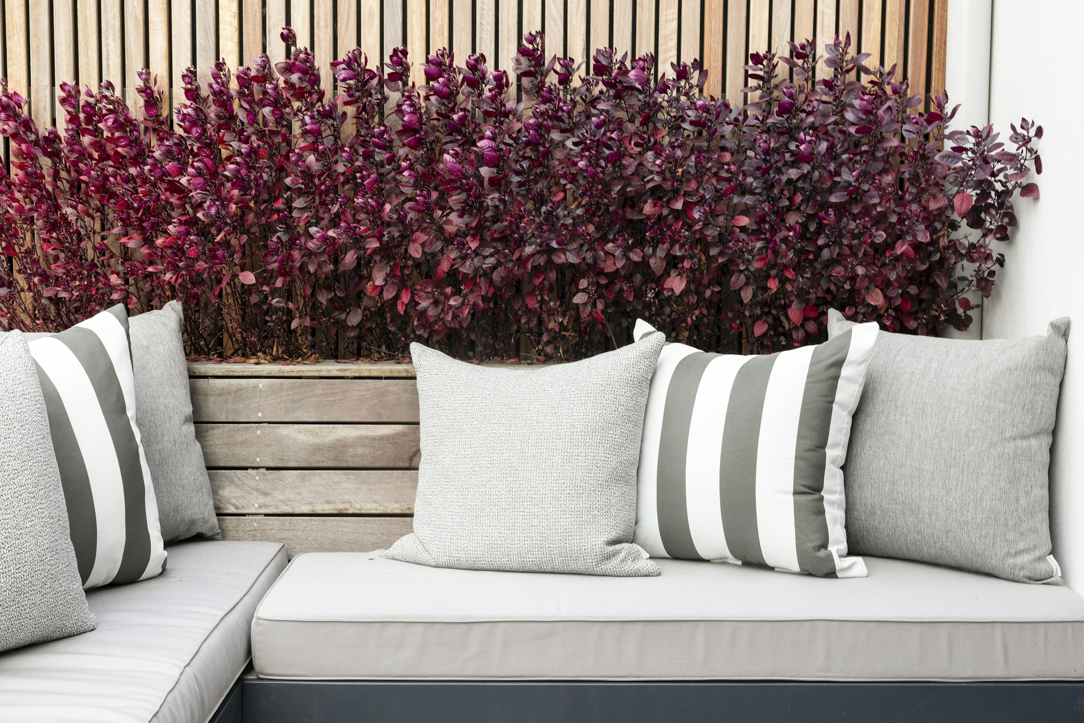 cushion