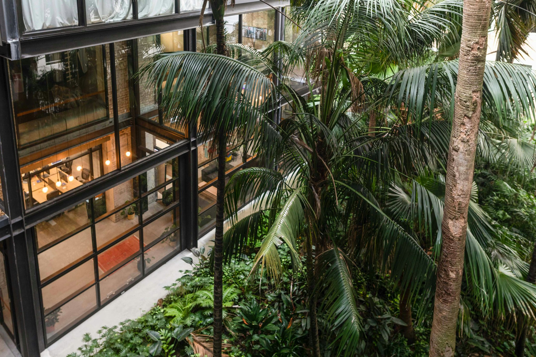 vegetation