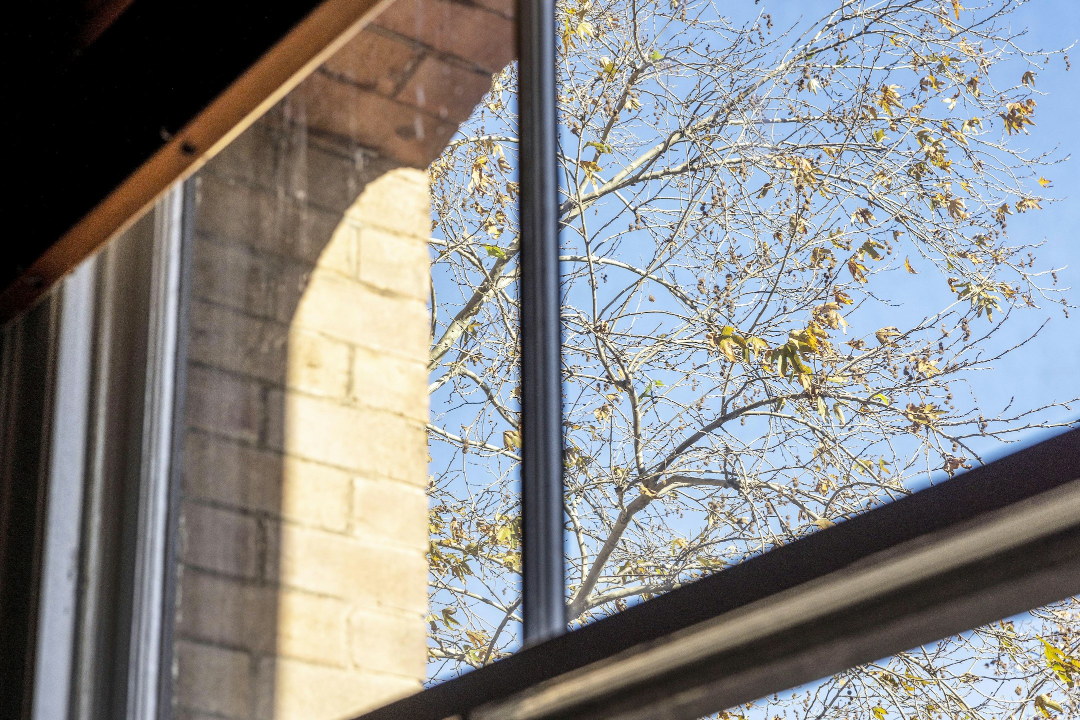 window