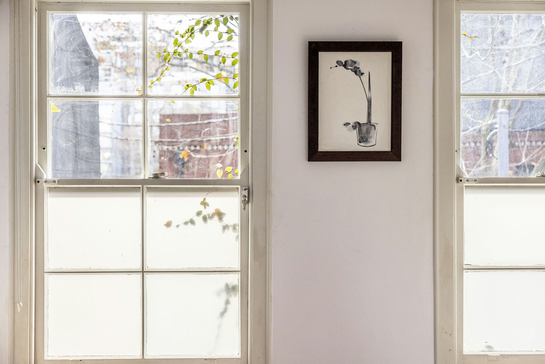 window