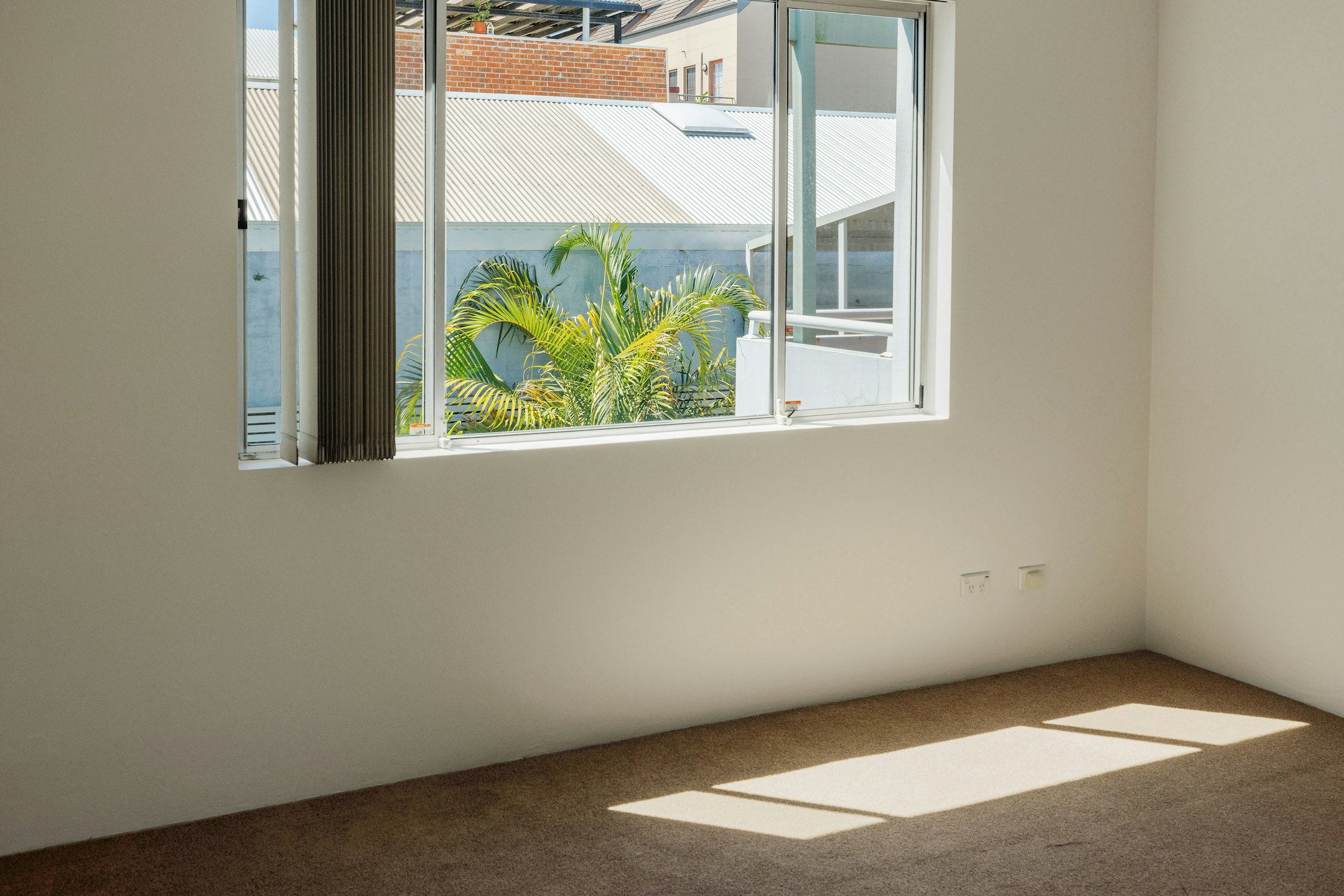 window