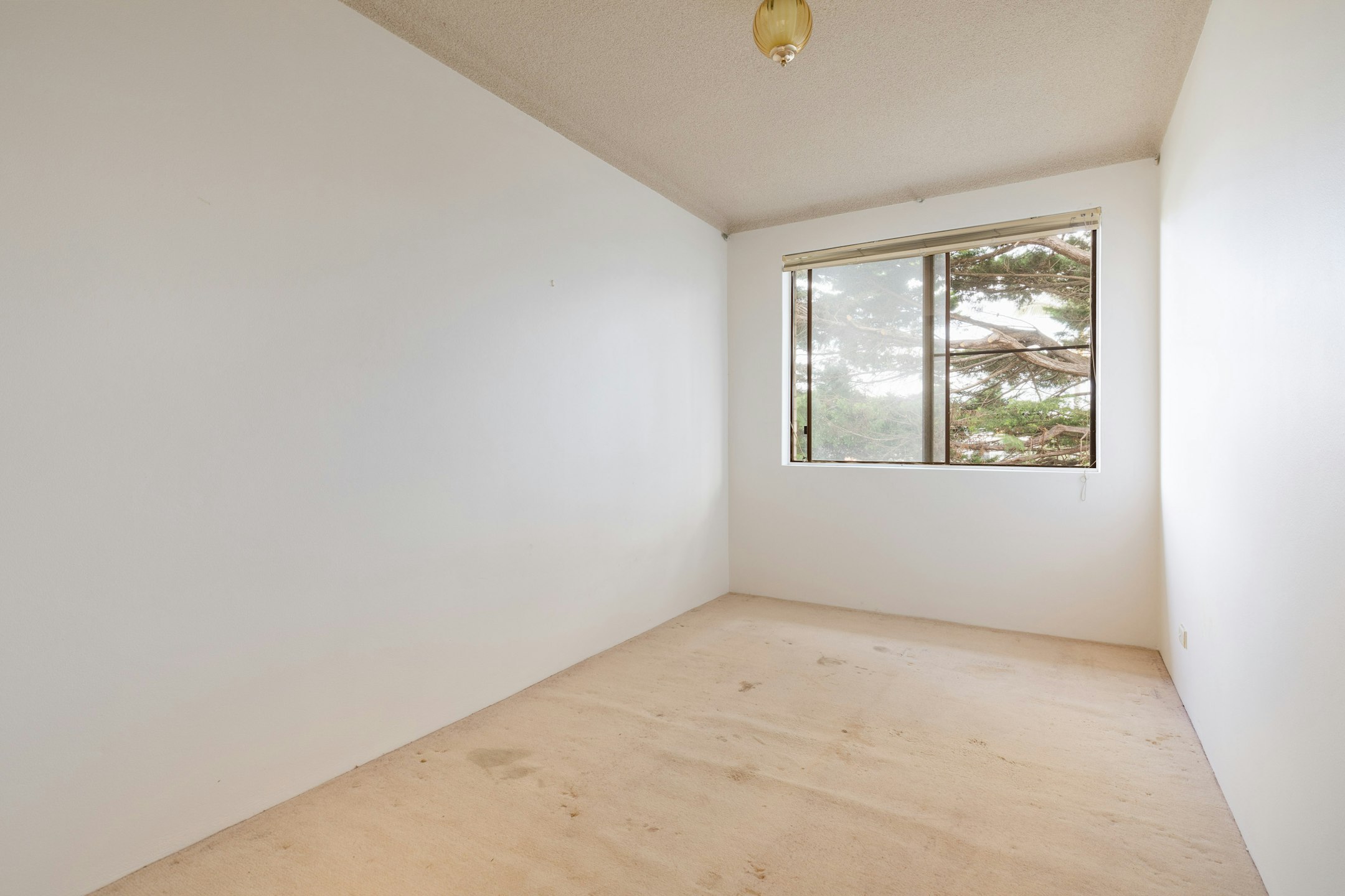 floor