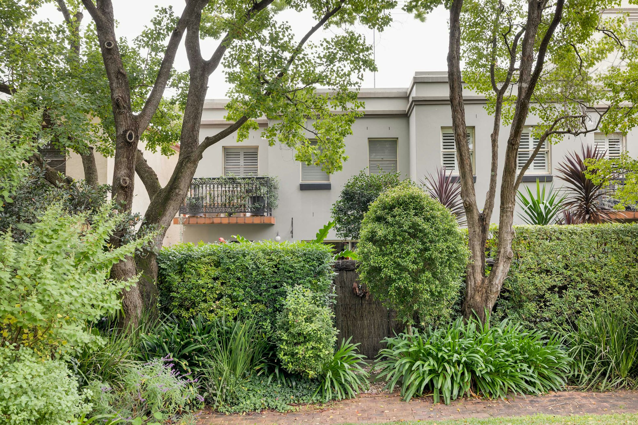 garden