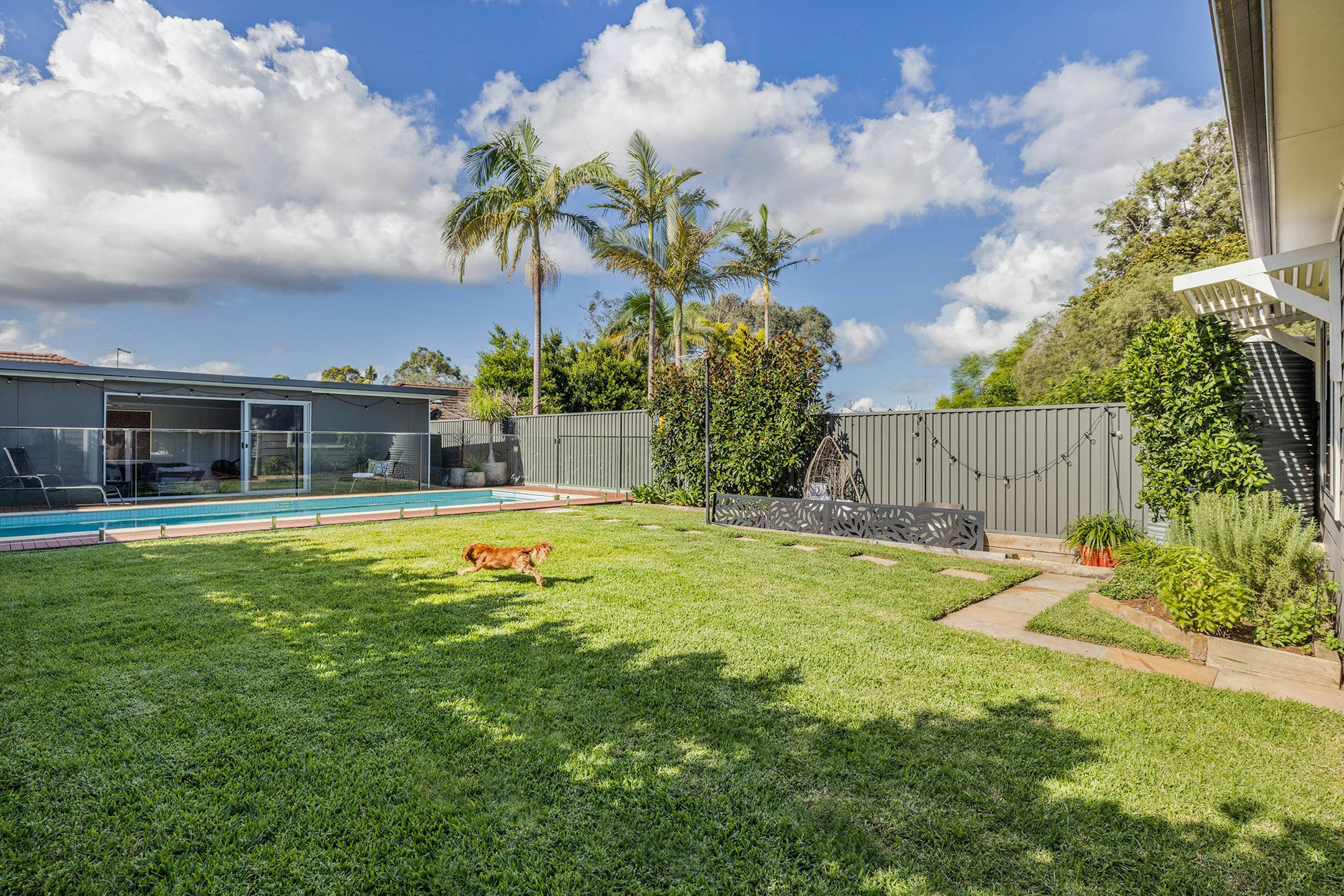 backyard