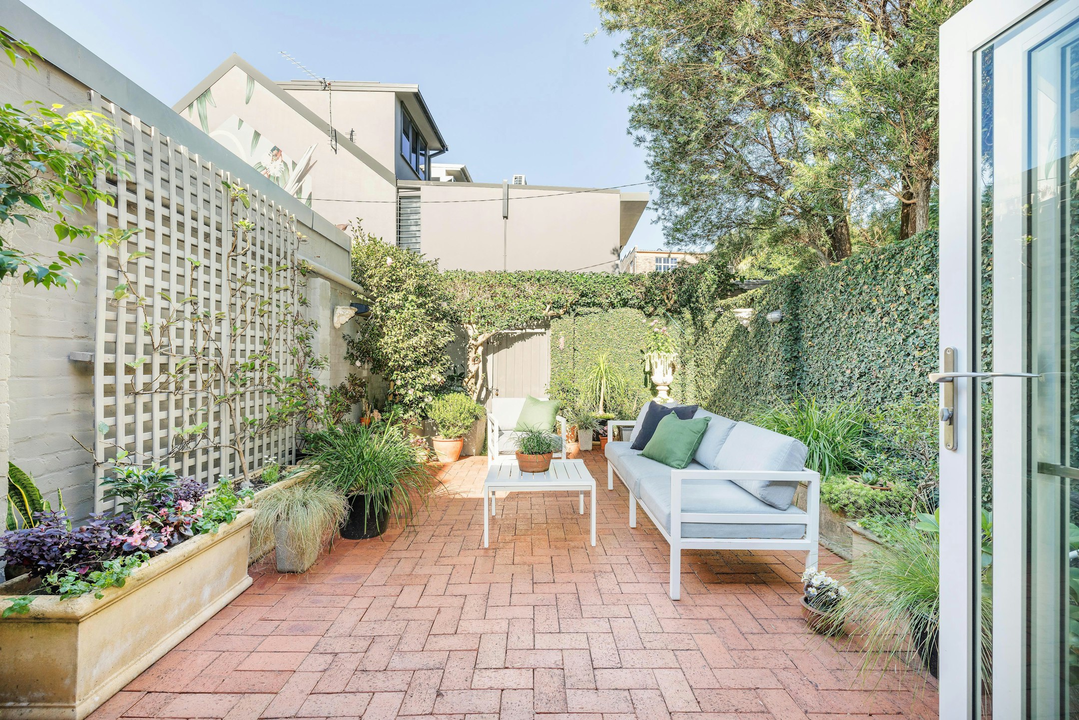 backyard