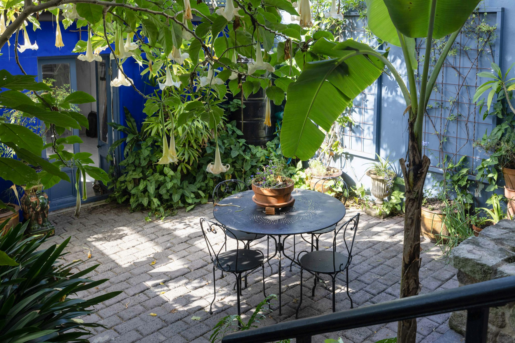 garden