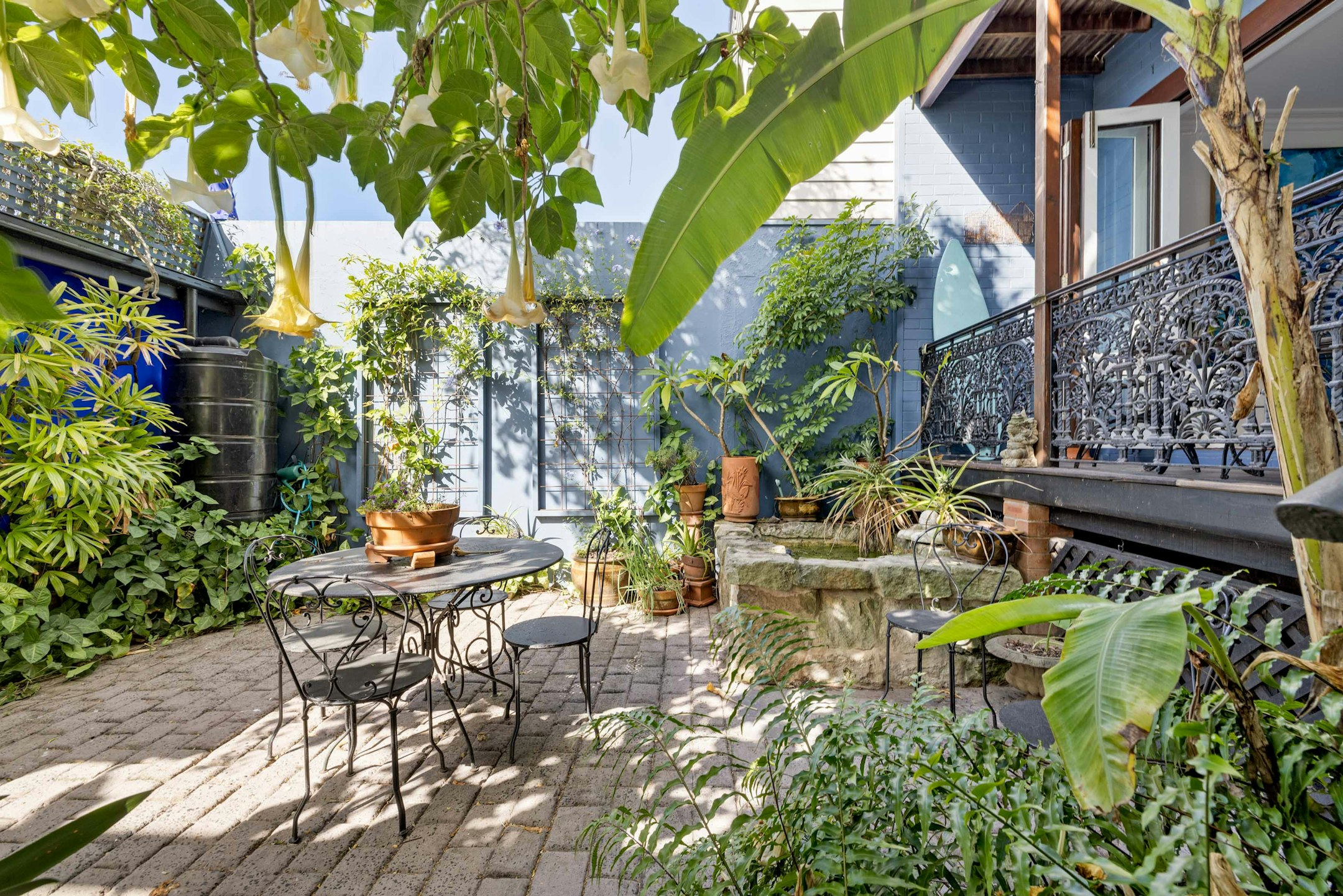 backyard
