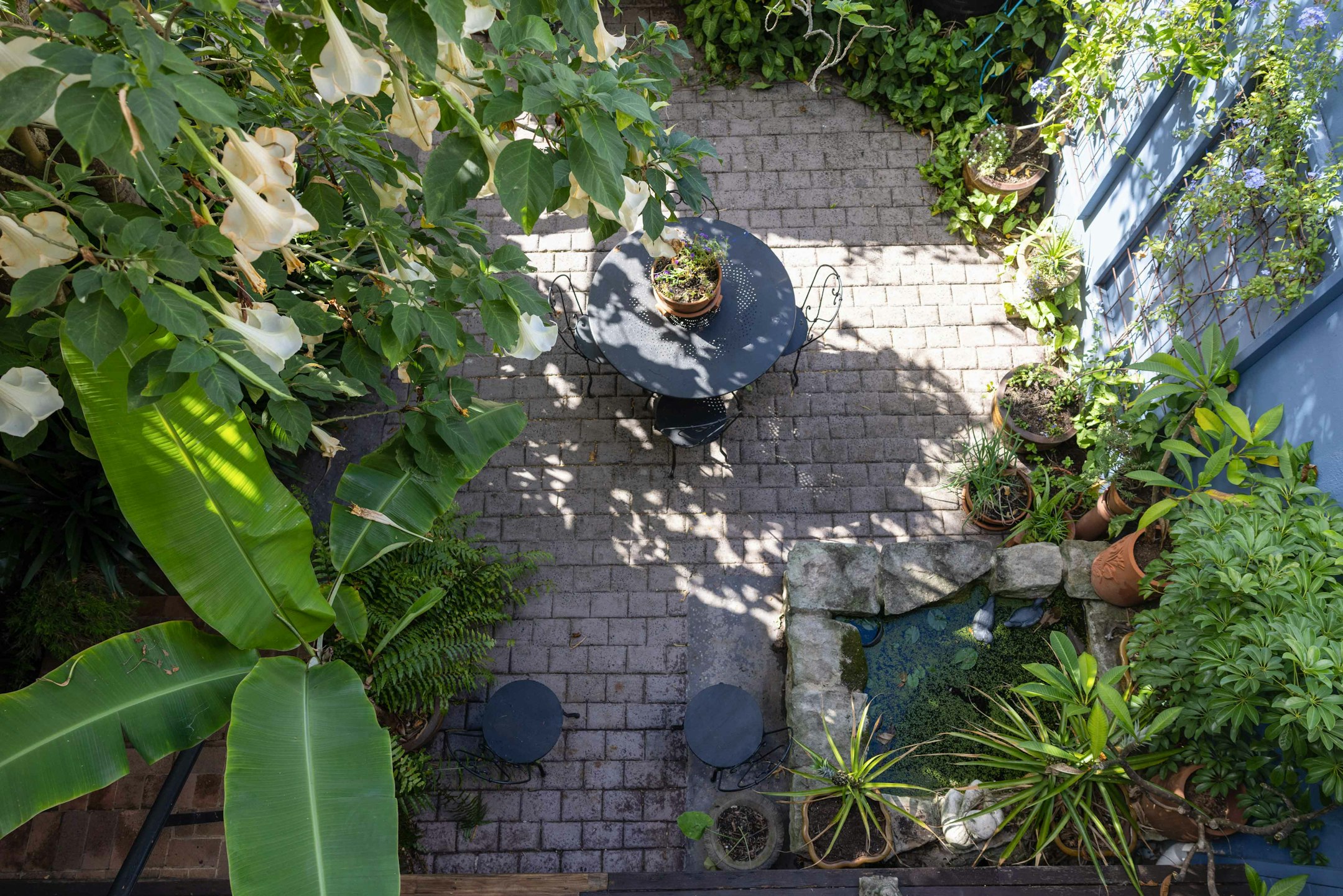 garden