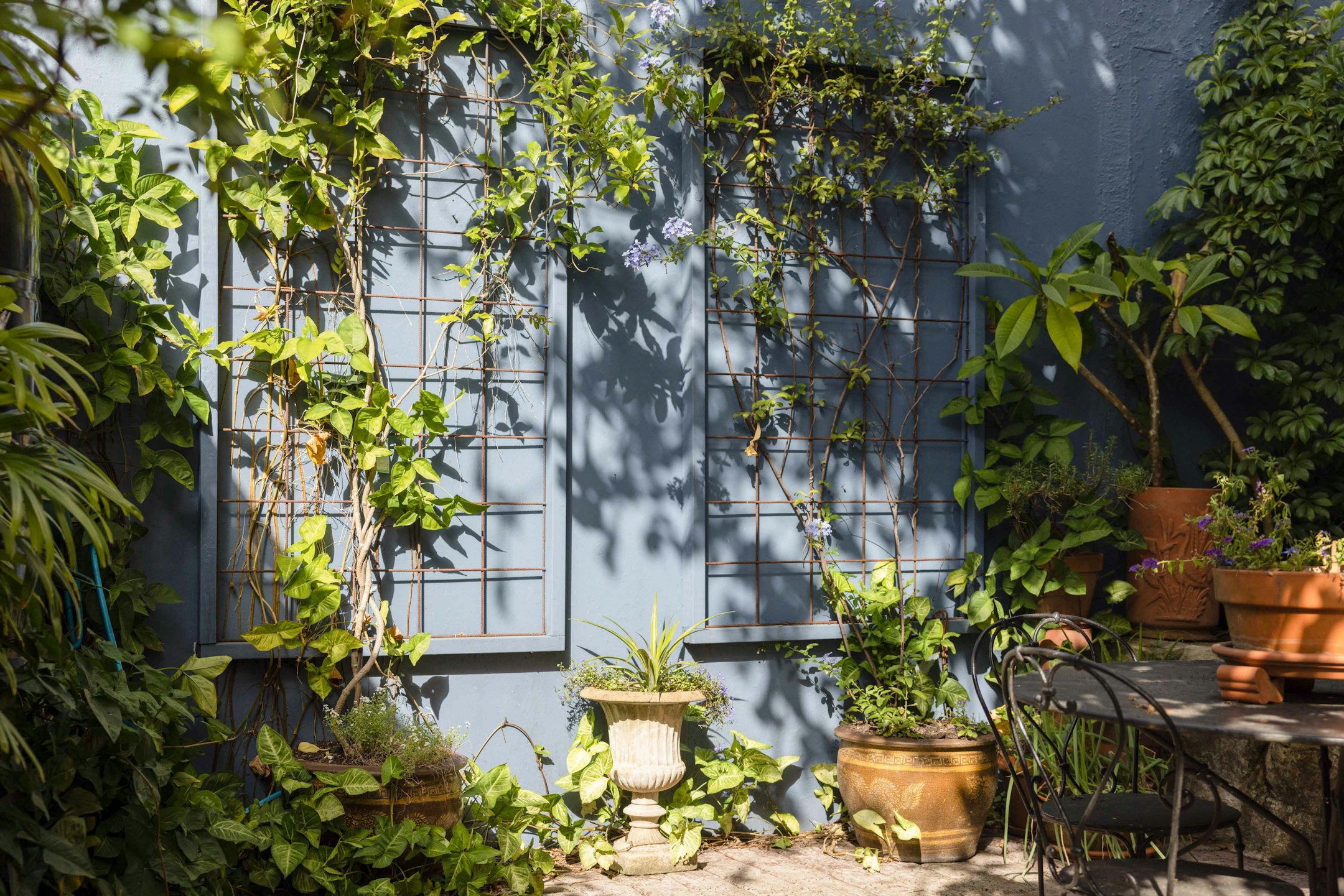 garden