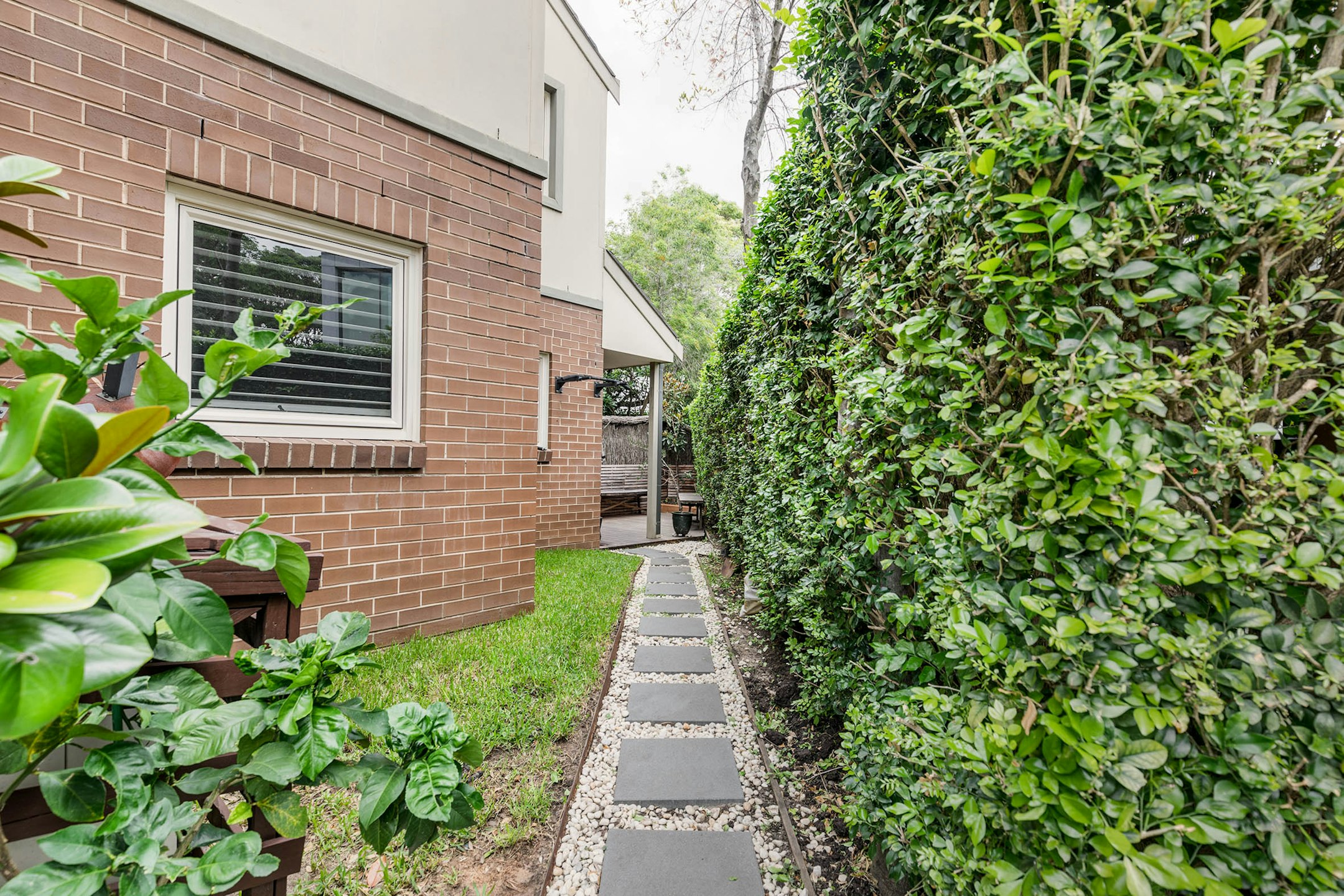 garden