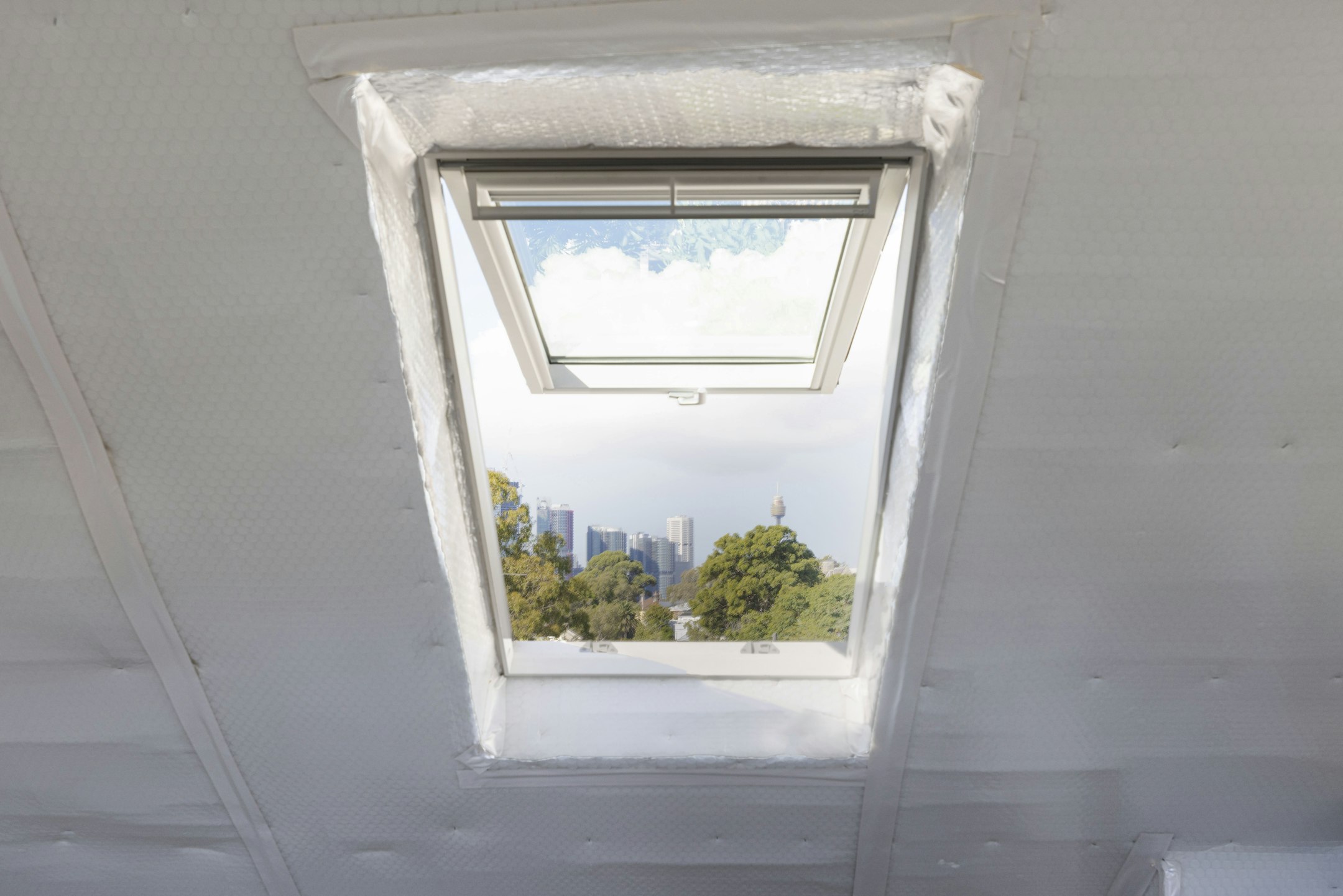 window