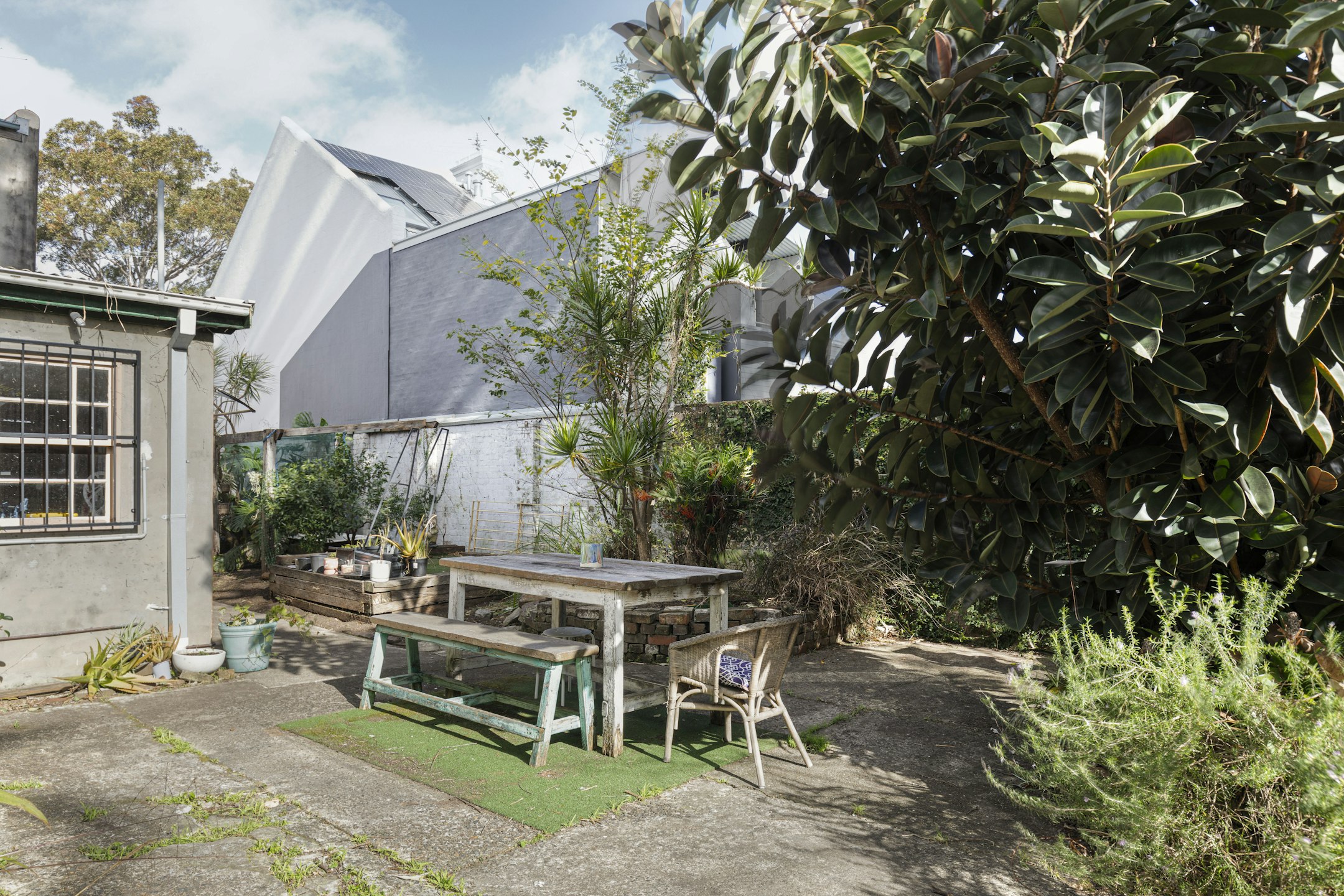 garden