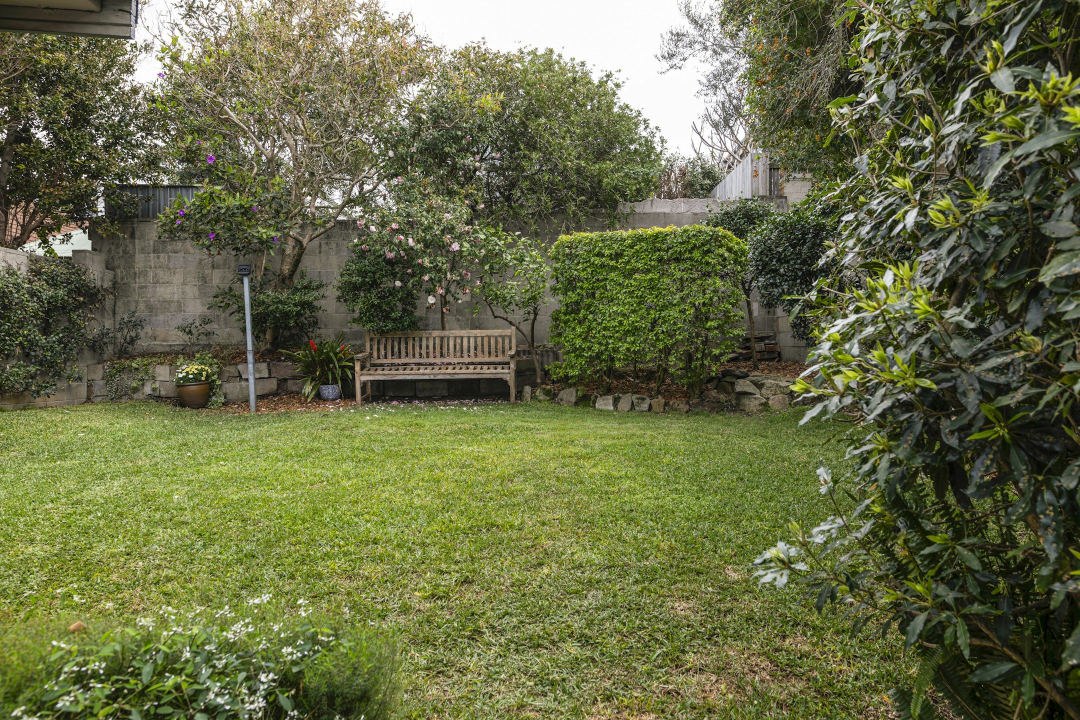 garden