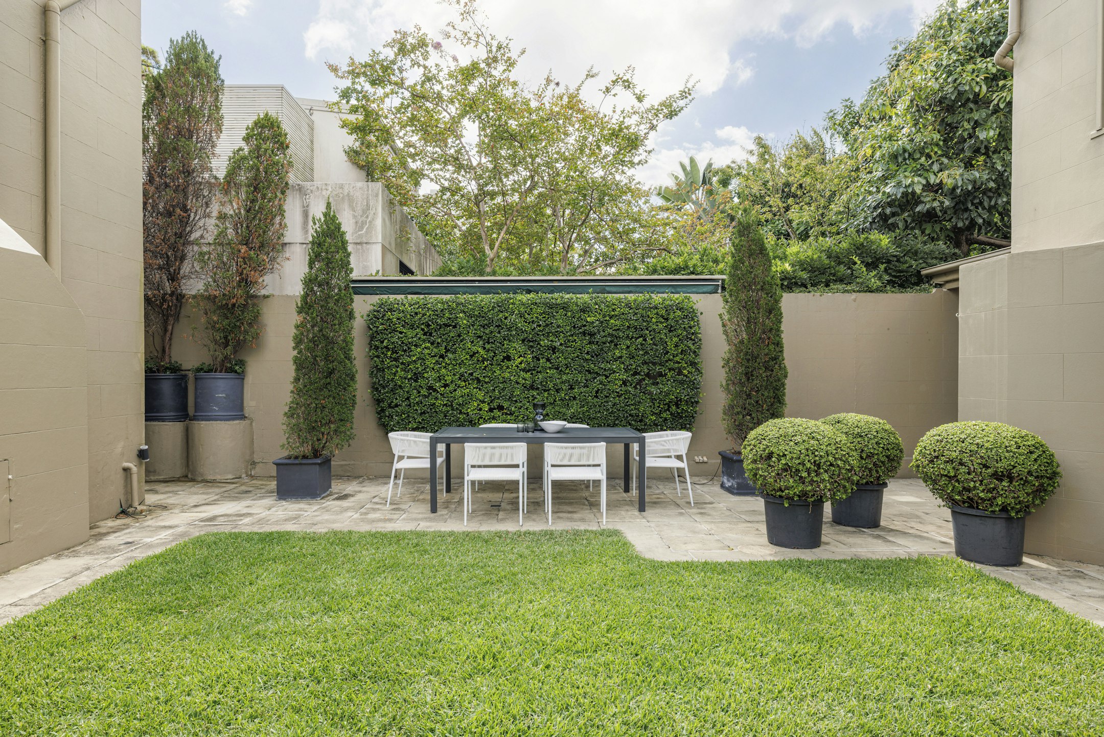 backyard
