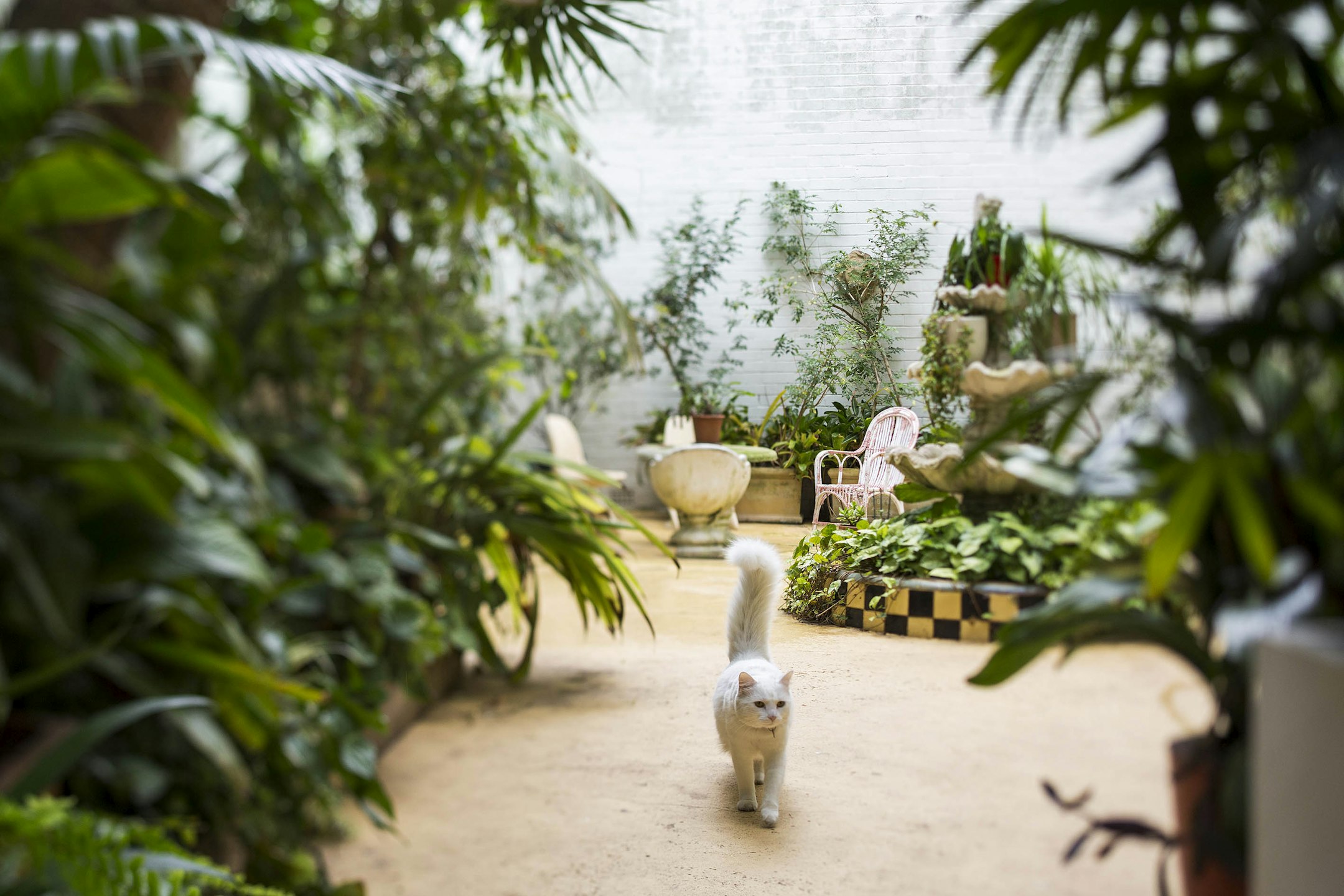 garden
