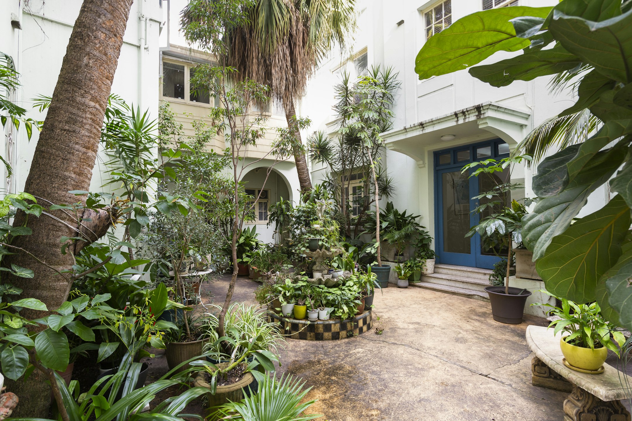 garden