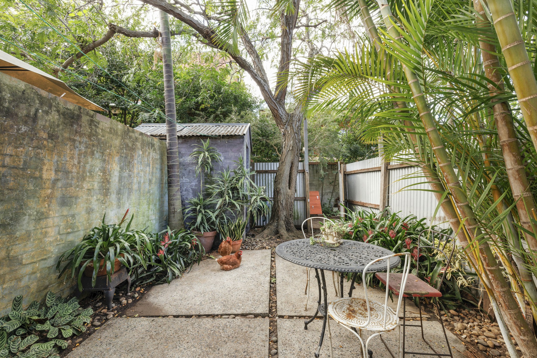 backyard