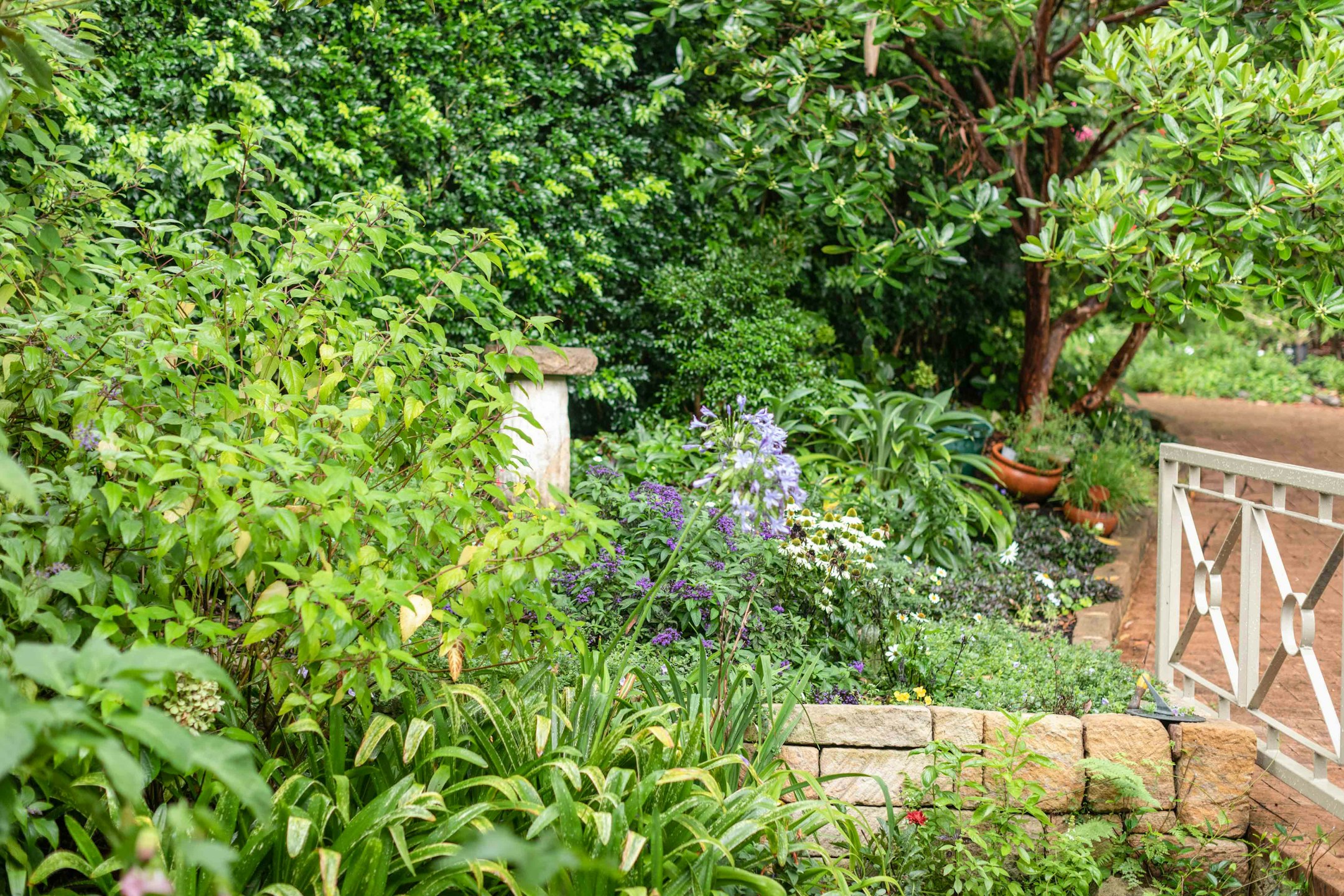 garden