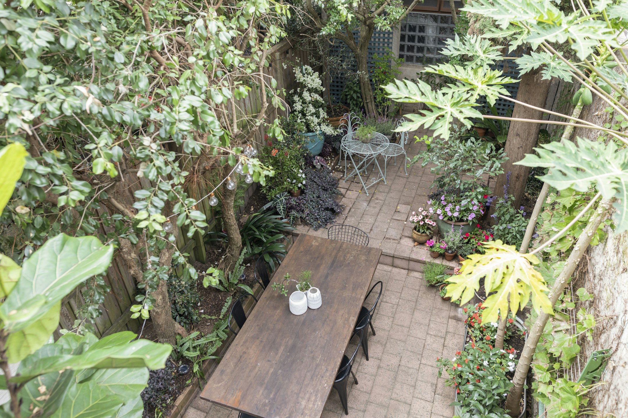 garden