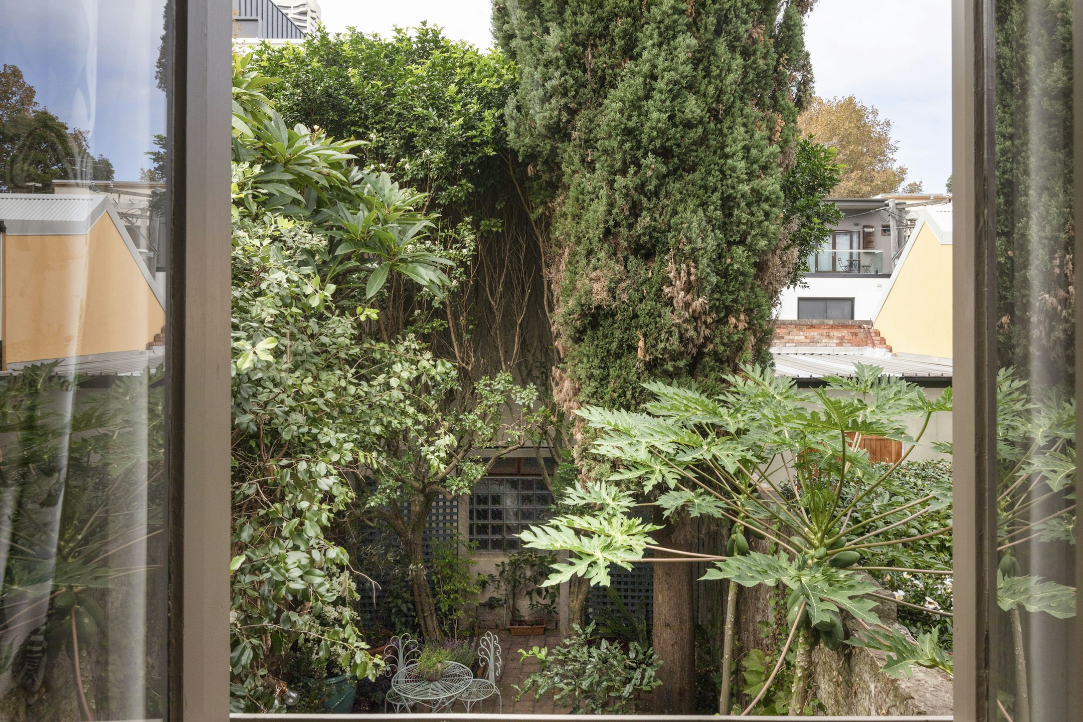 garden