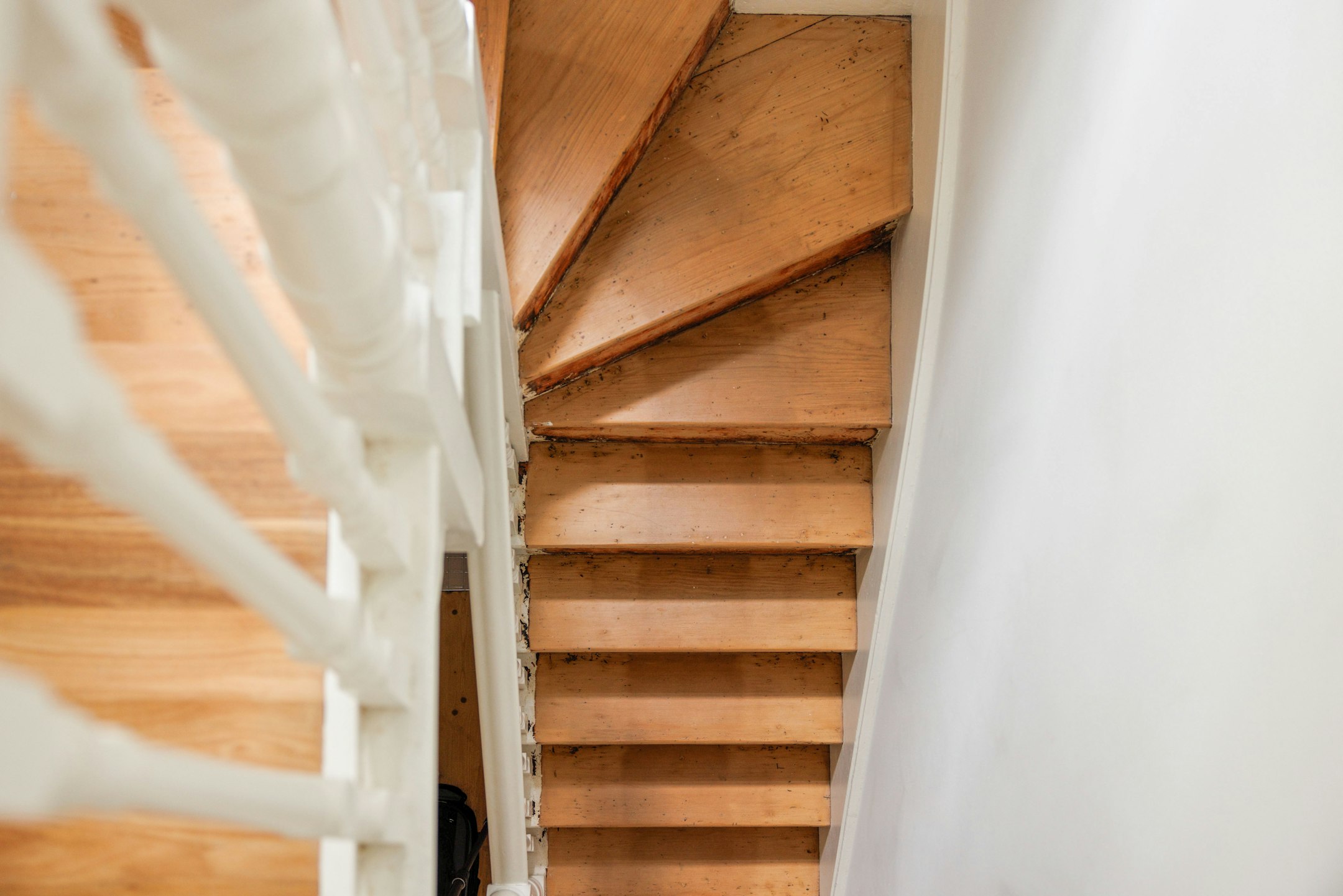 hardwood
