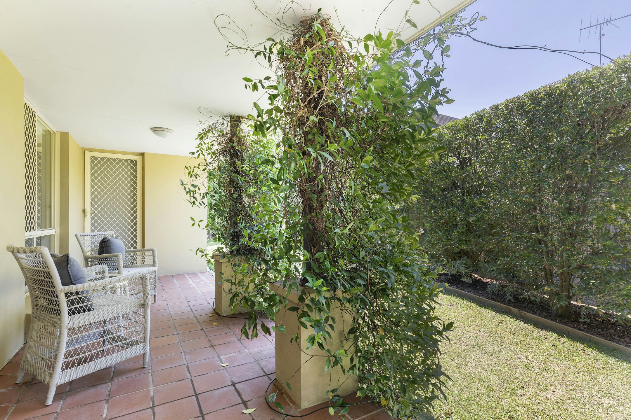 garden