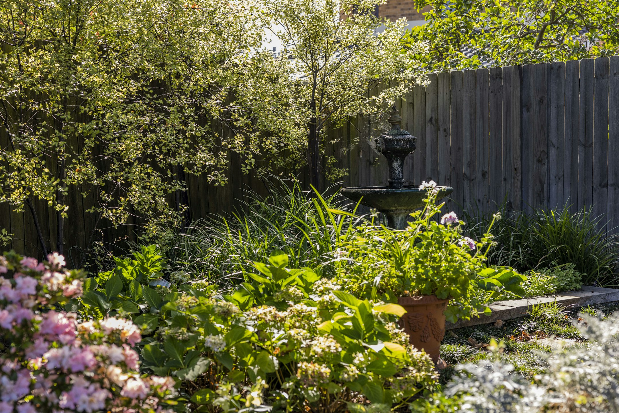garden