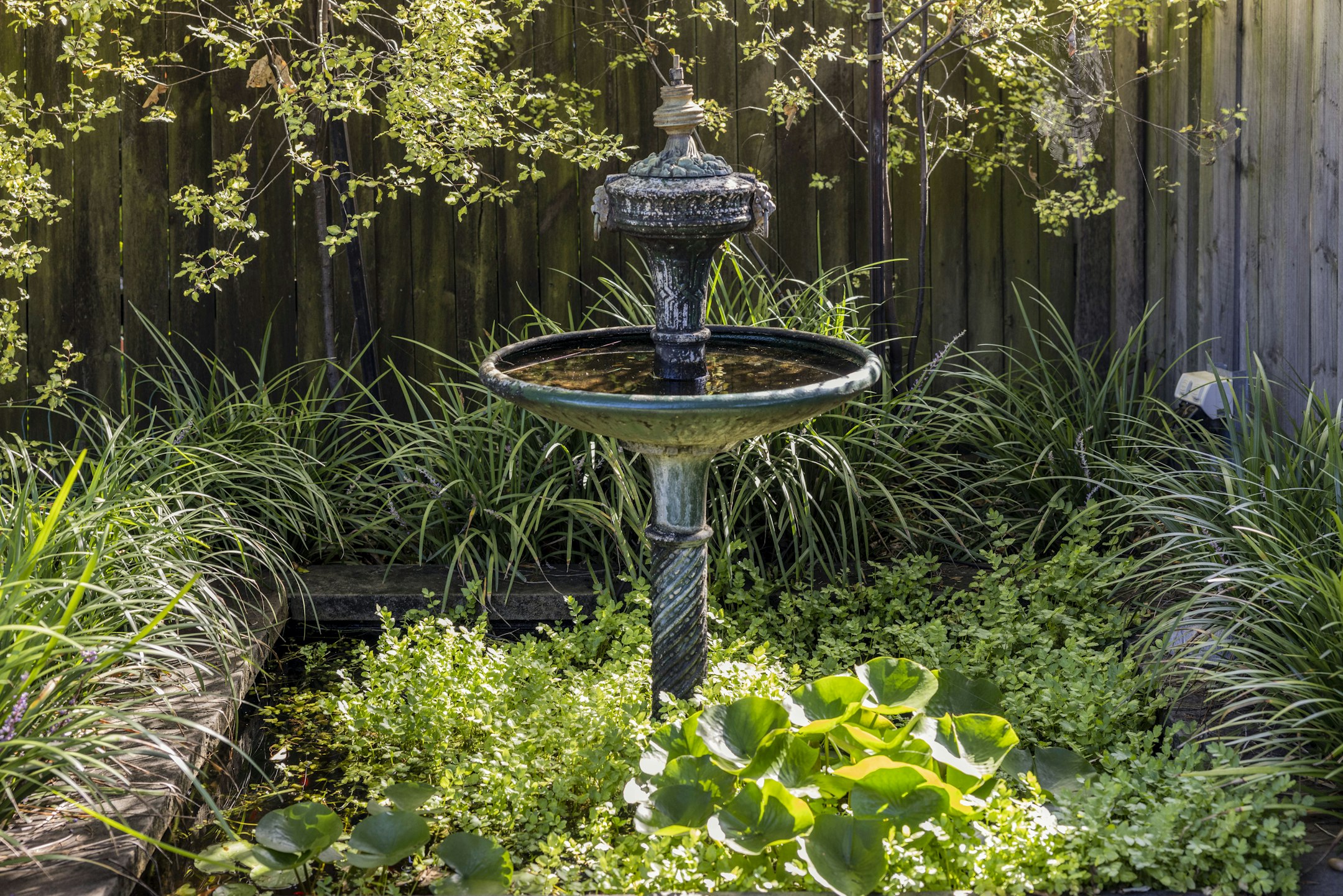 garden