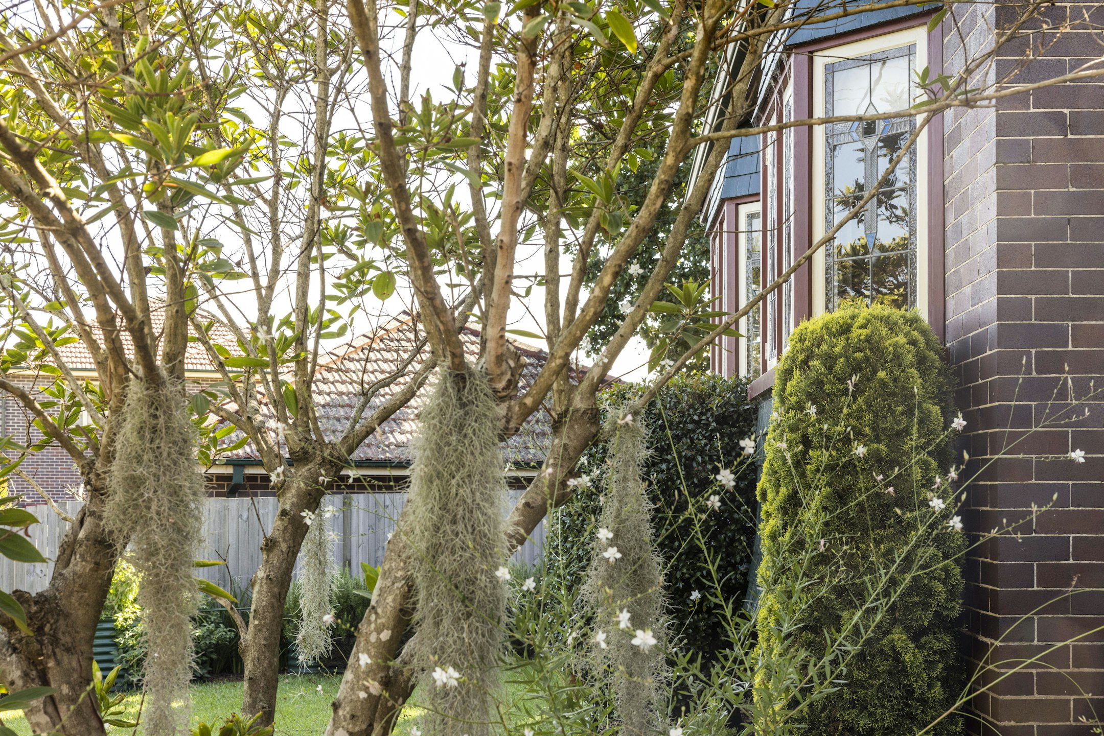garden