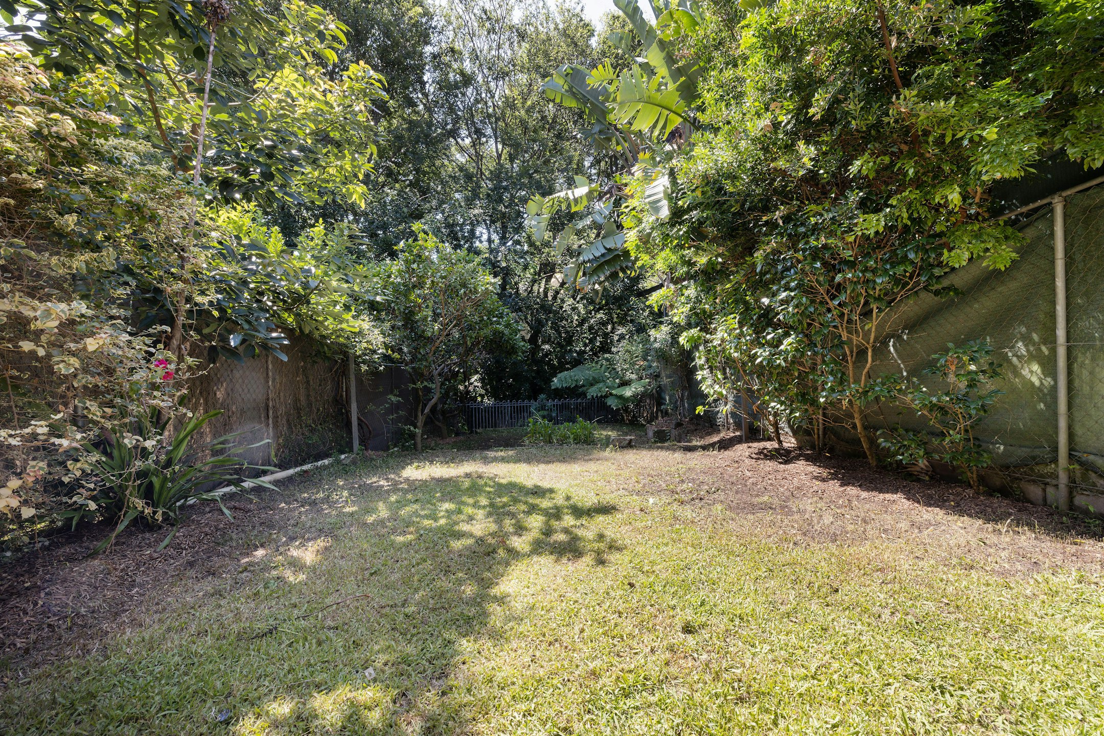 garden