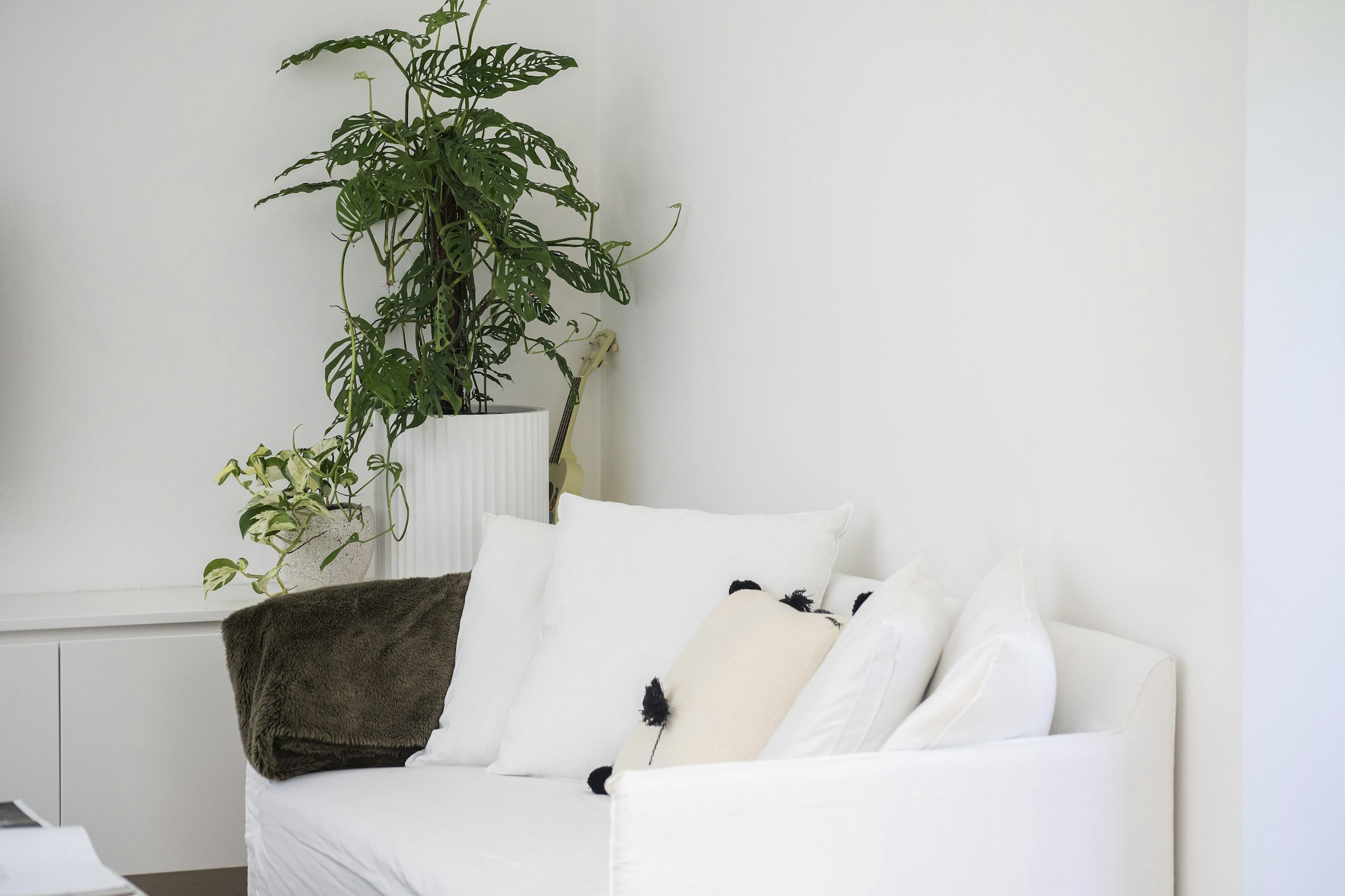 cushion