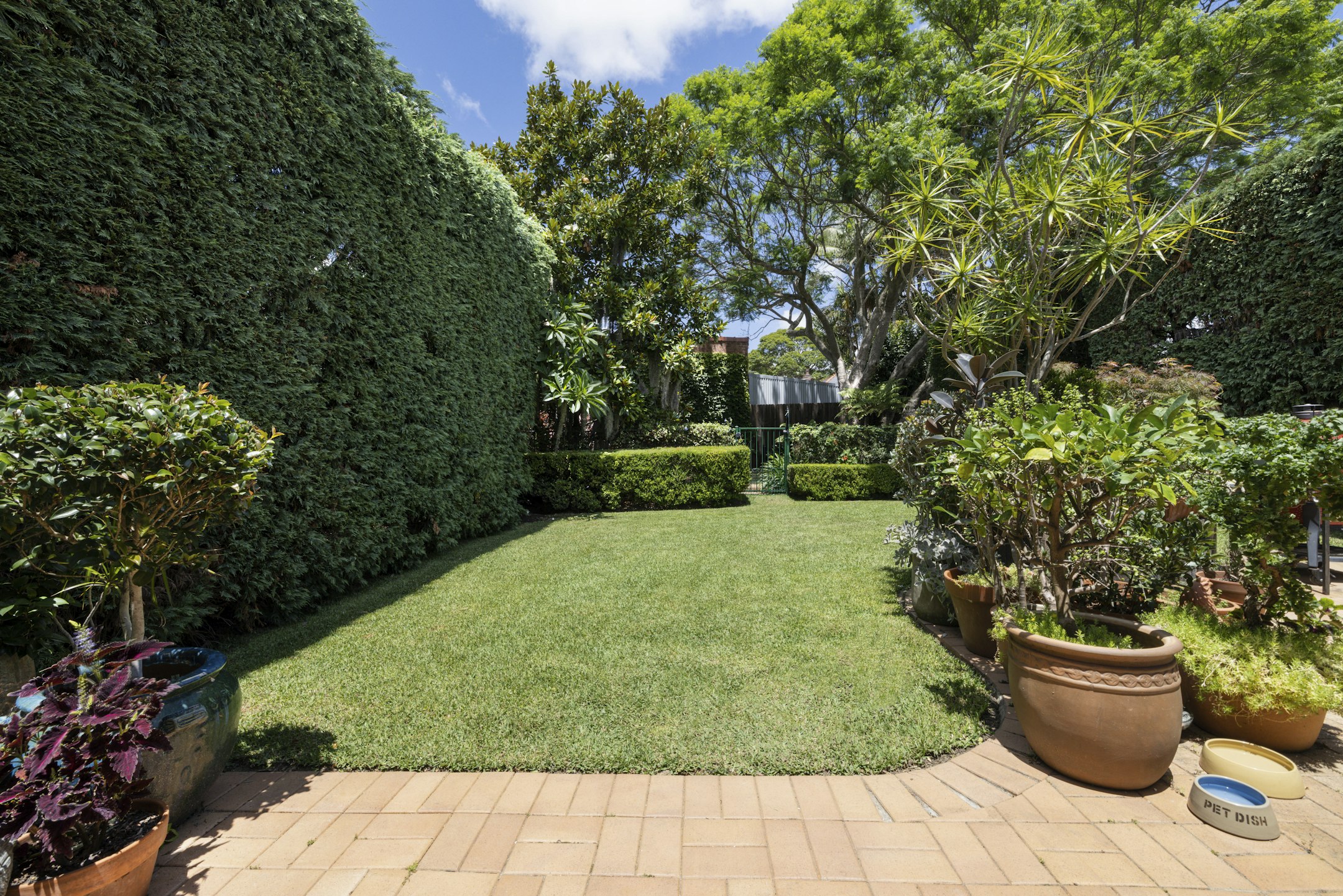 garden