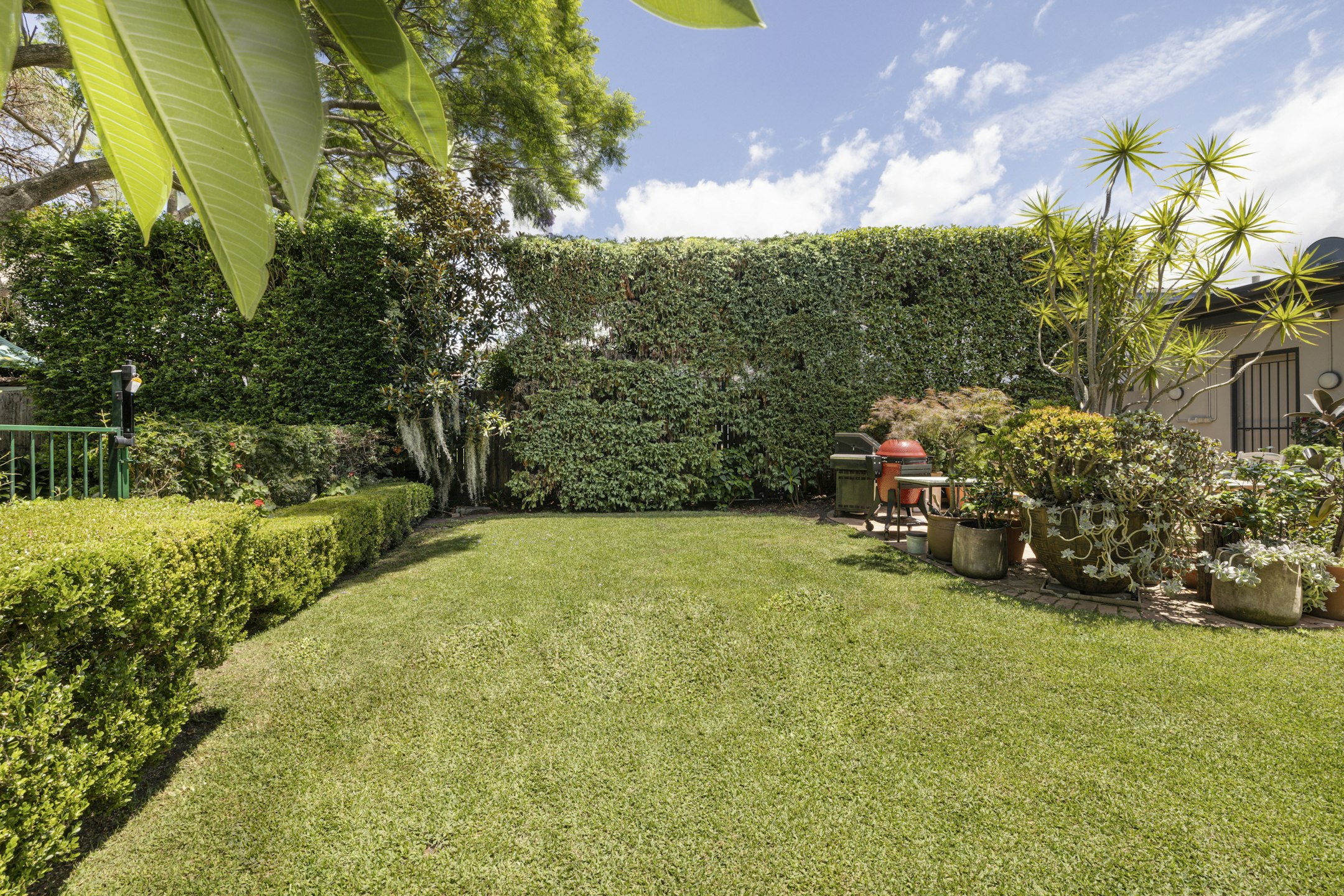 garden