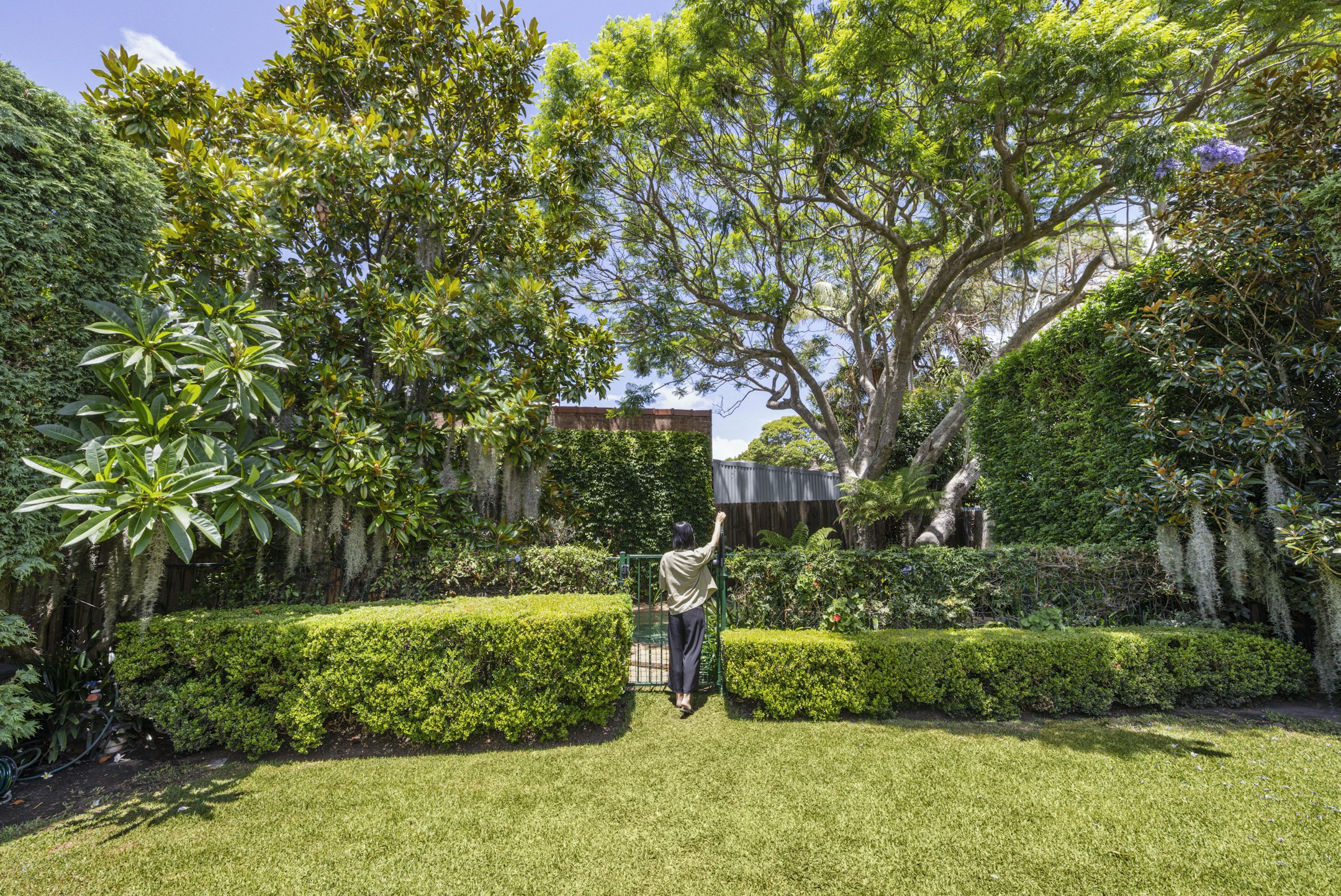 garden