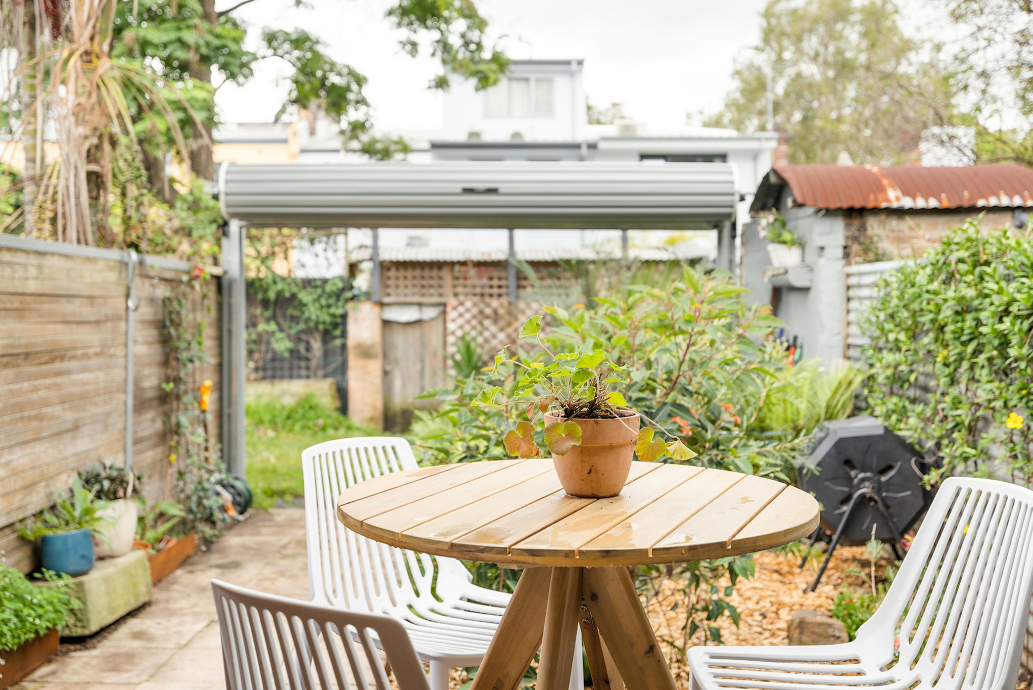 backyard
