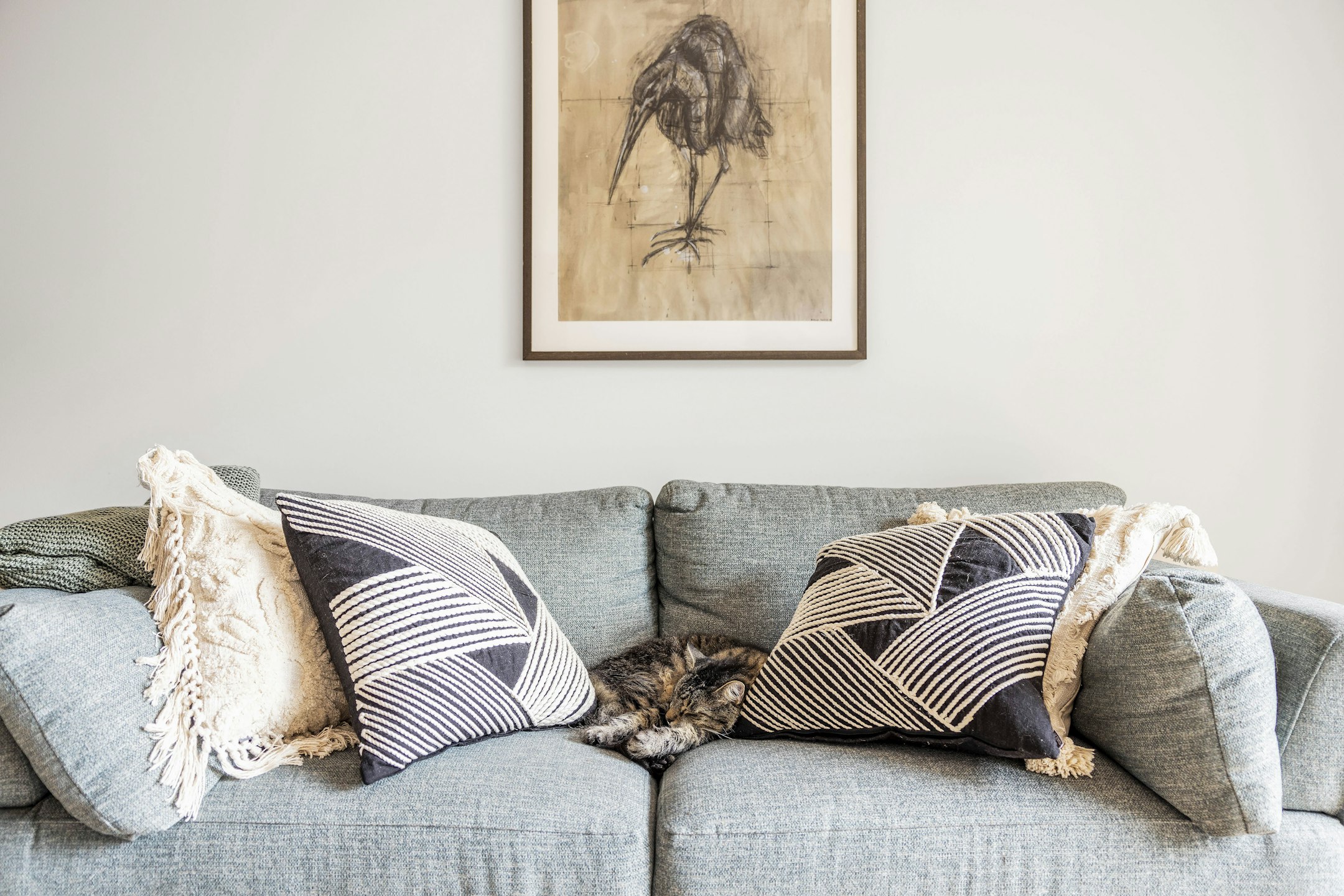 cushion