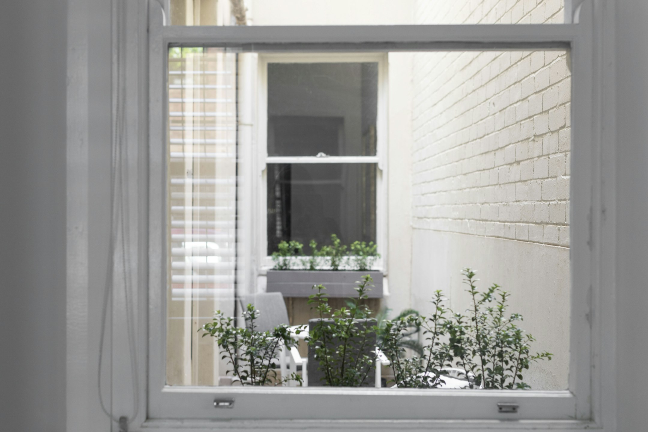 window