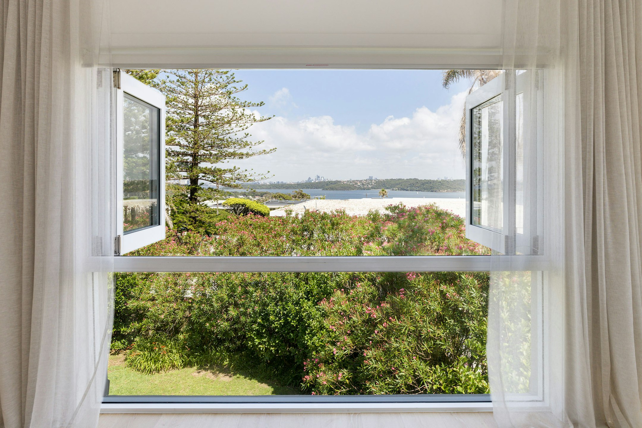 window