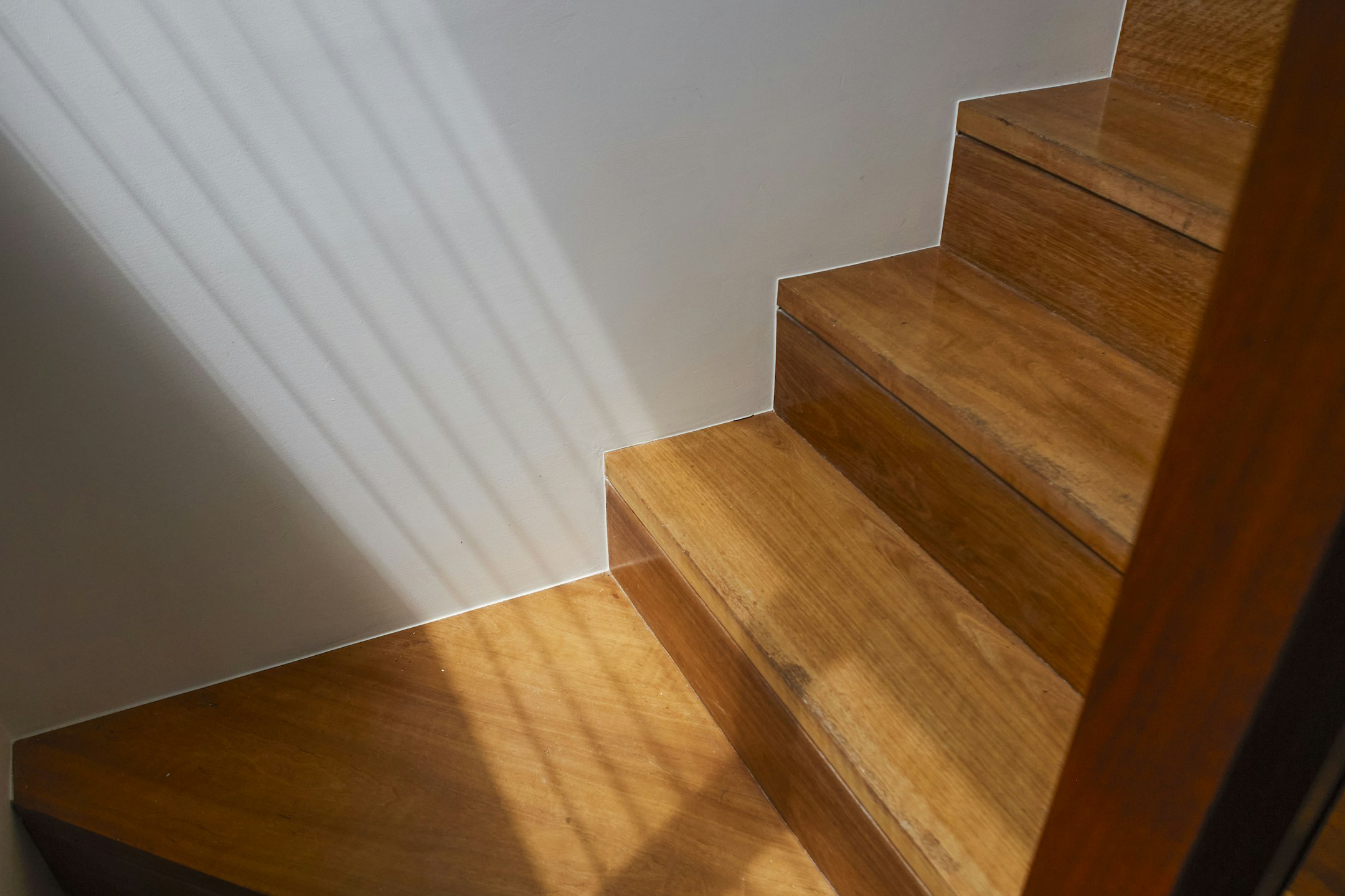 hardwood