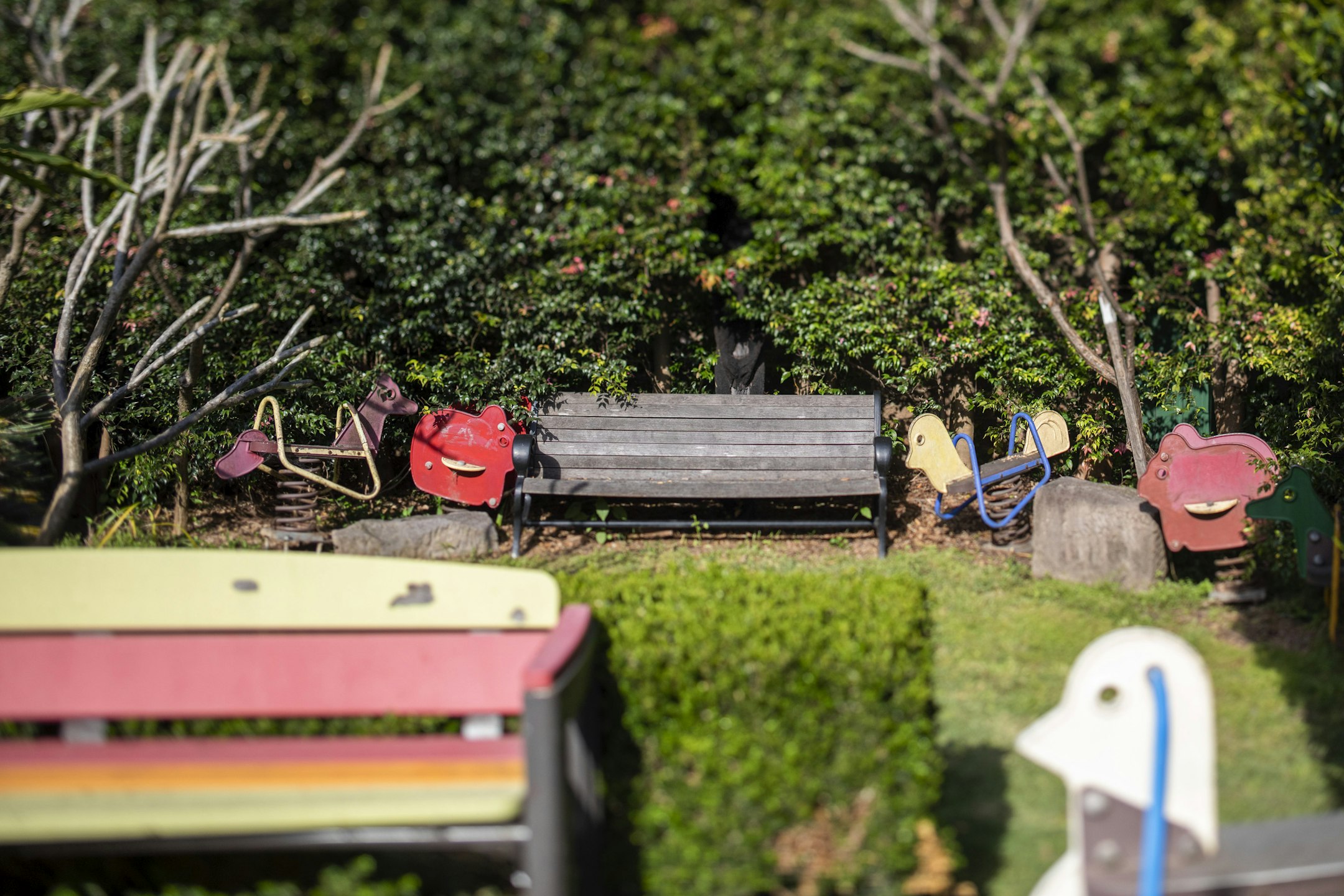bench