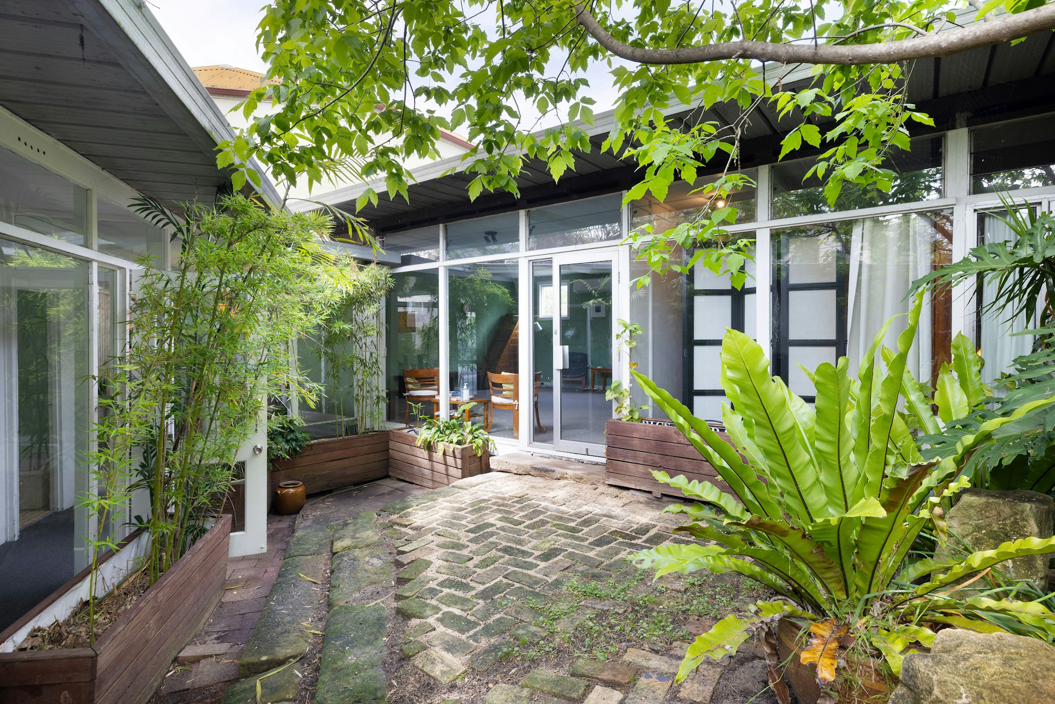 garden