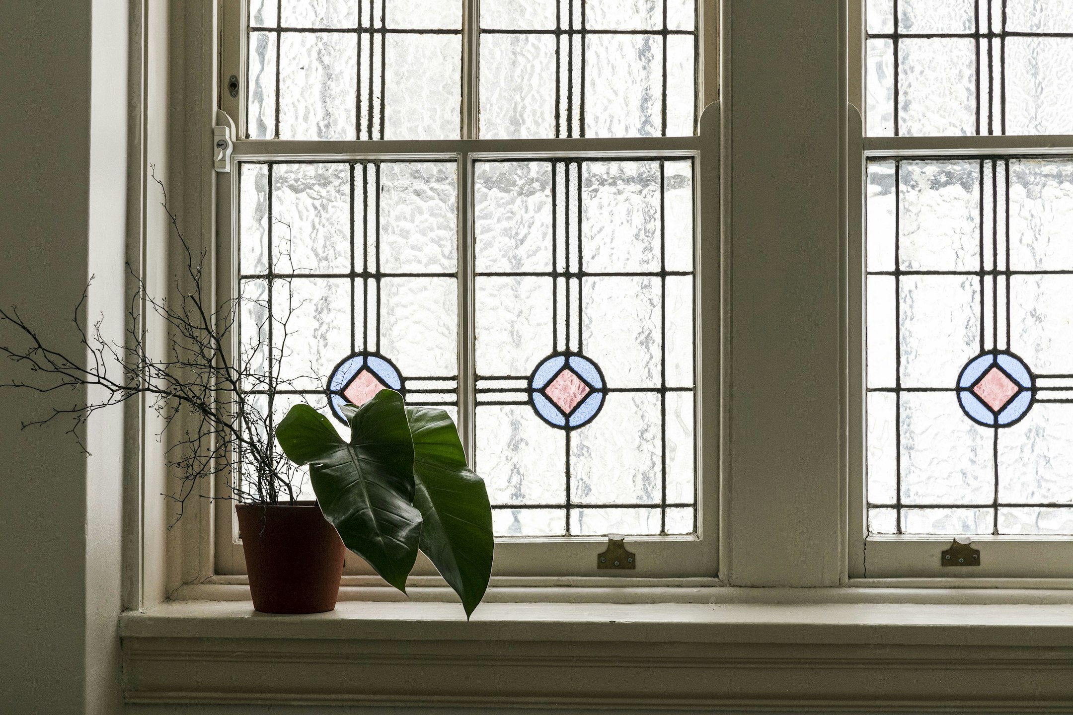 window