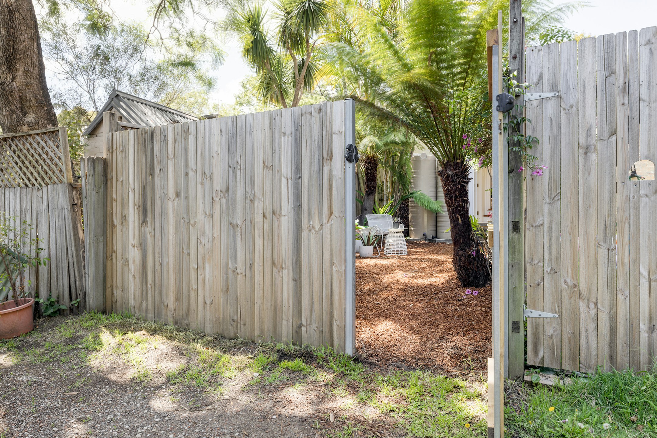 backyard