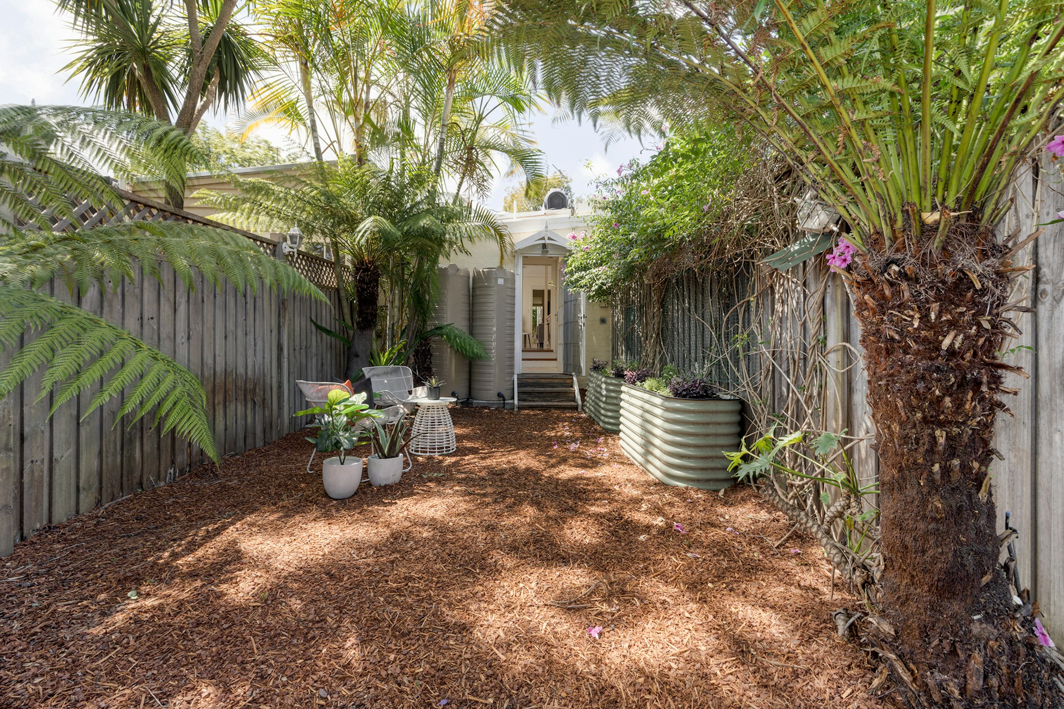 backyard