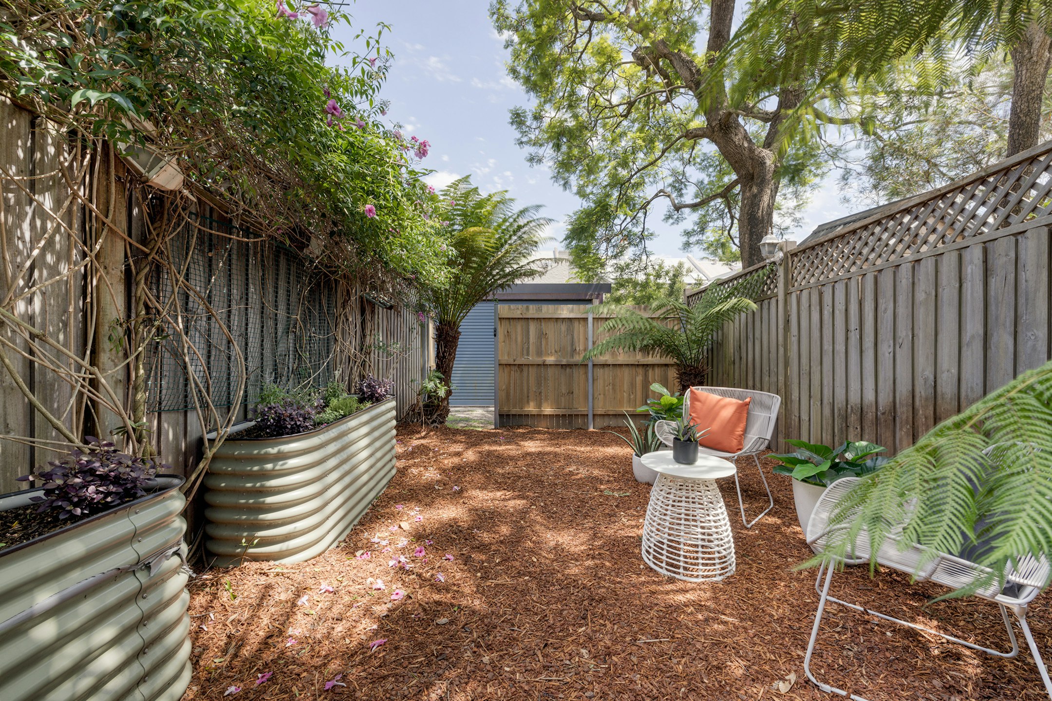 backyard