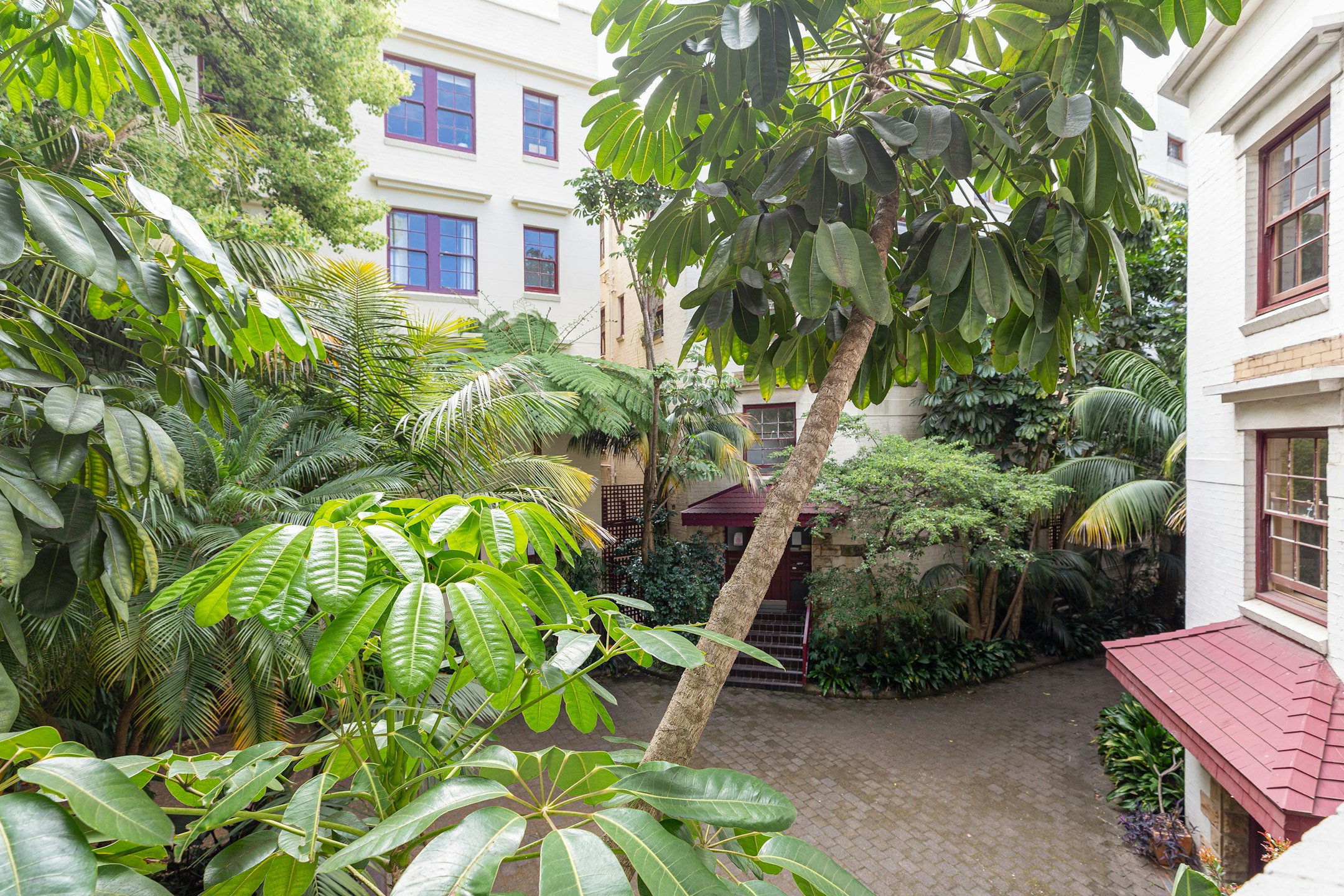 garden