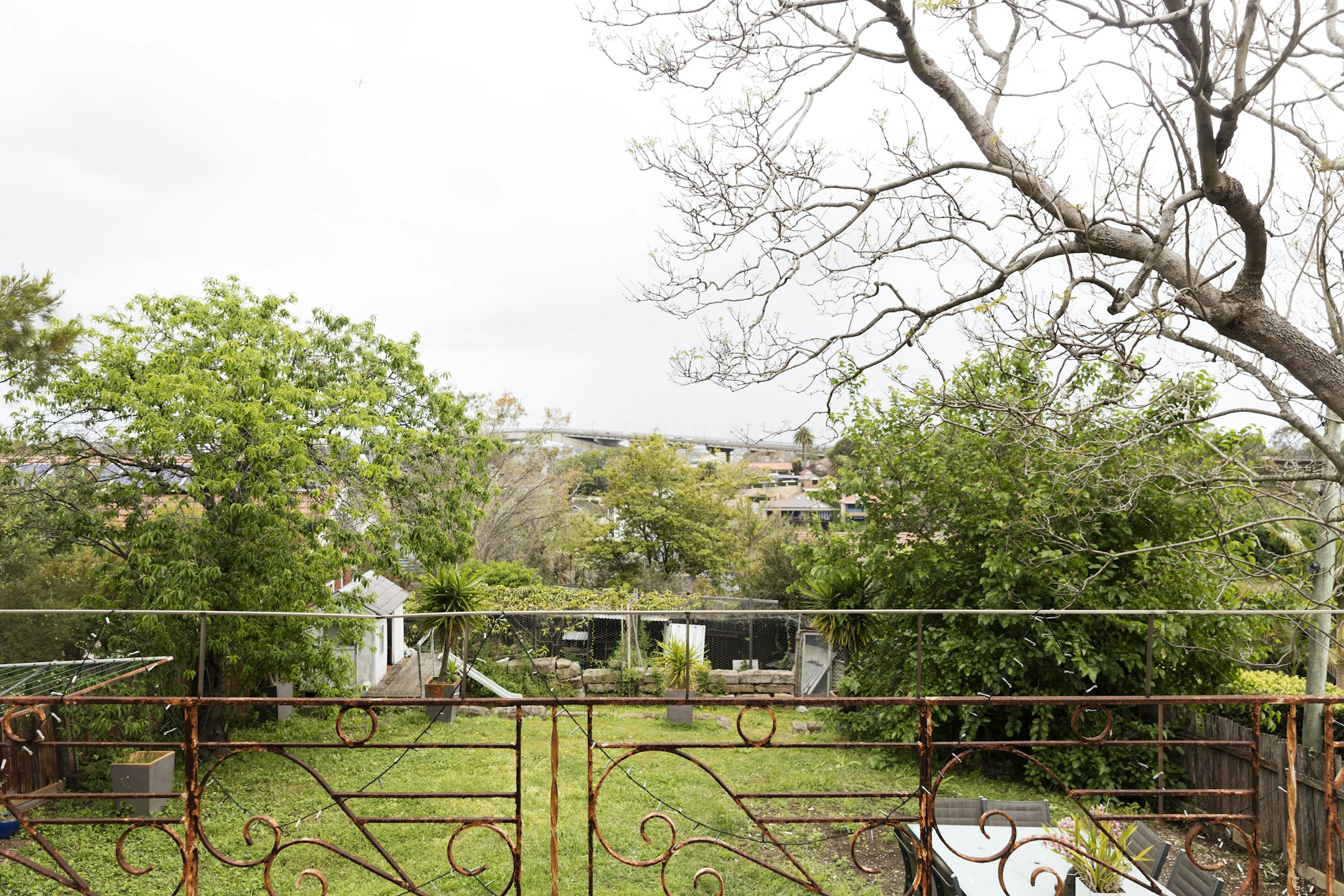 garden